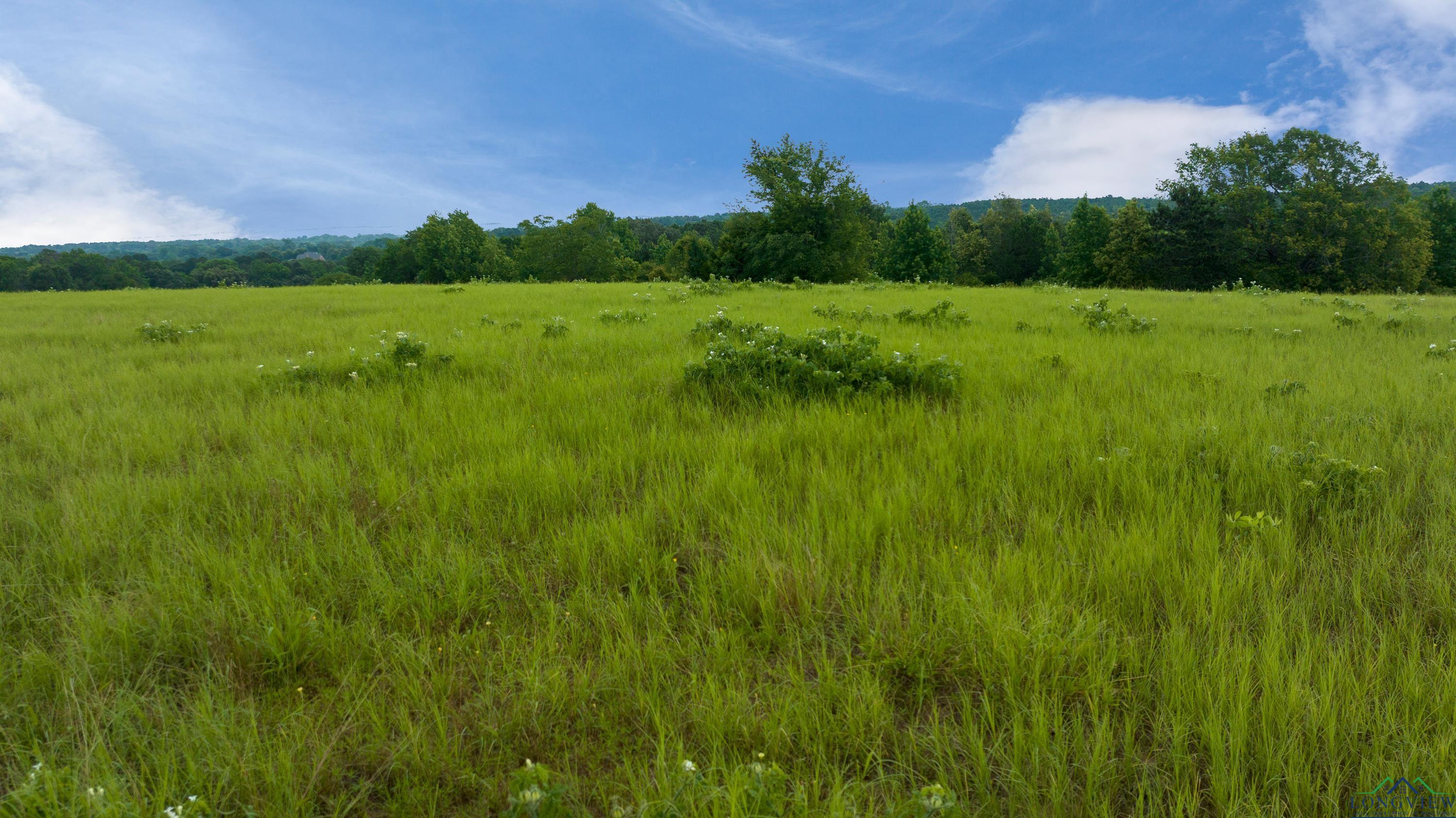 TBD Timberlake Ranch Rd, Hallsville, Texas image 10