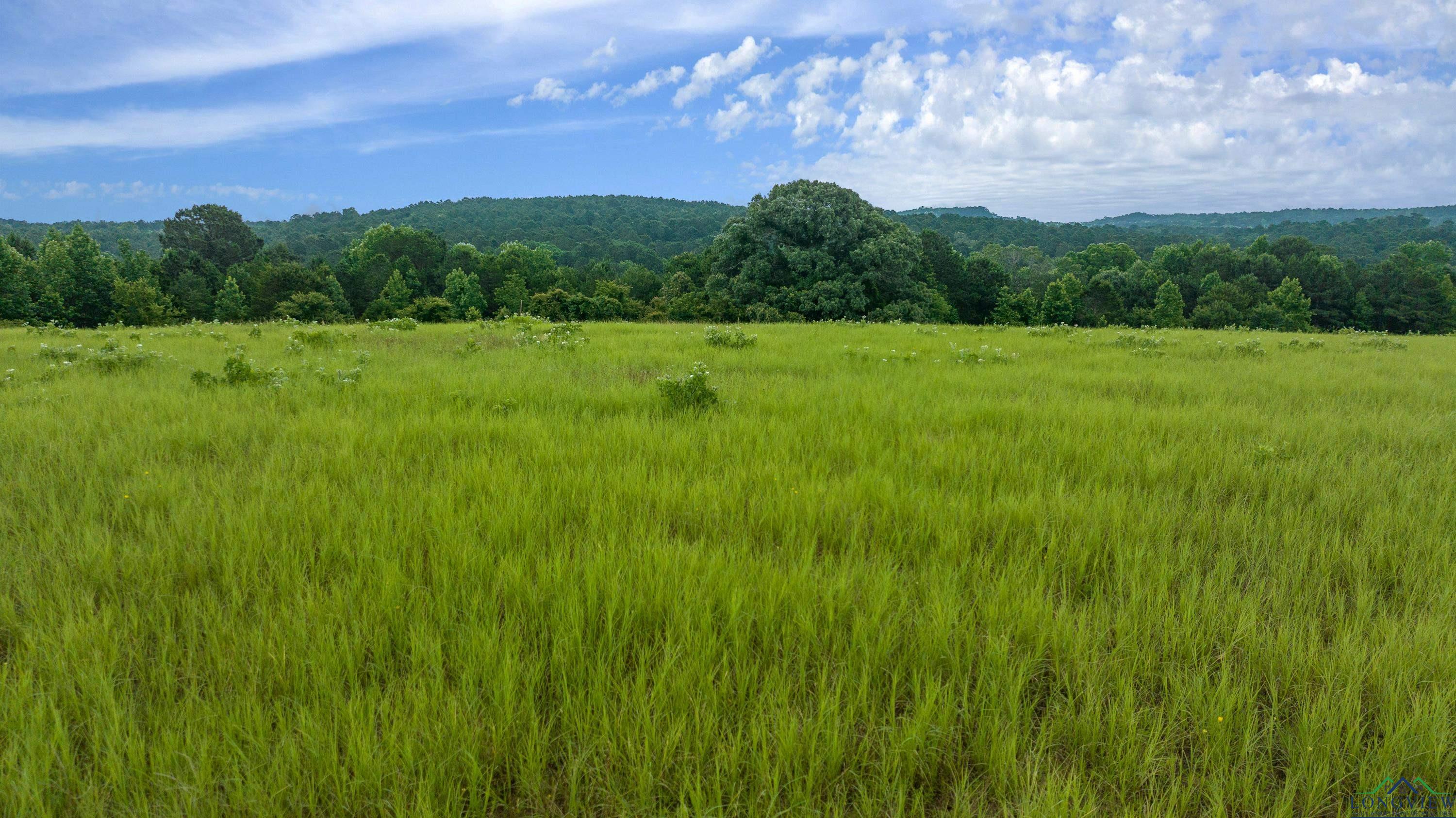 TBD Timberlake Ranch Rd, Hallsville, Texas image 9