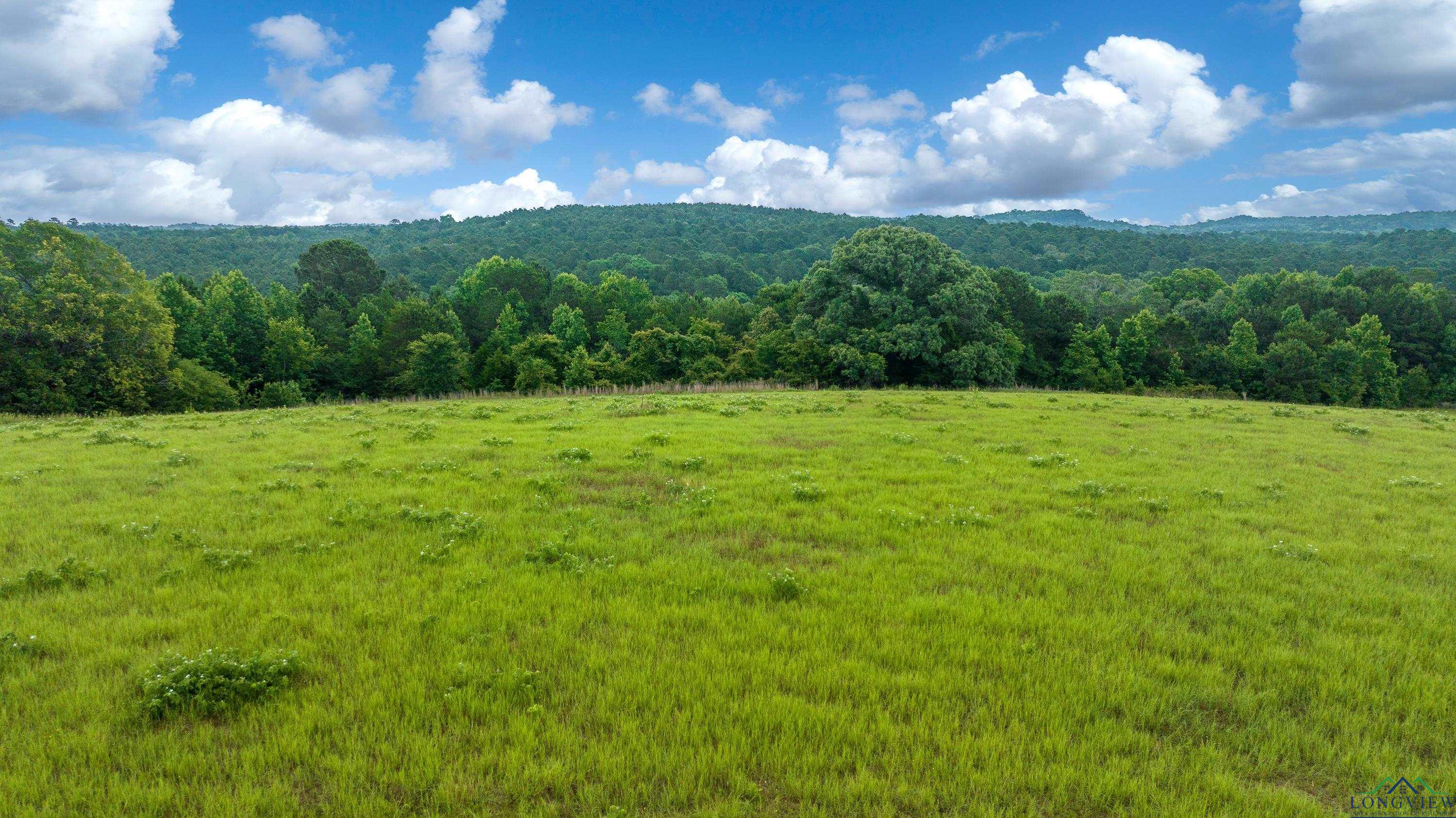TBD Timberlake Ranch Rd, Hallsville, Texas image 8