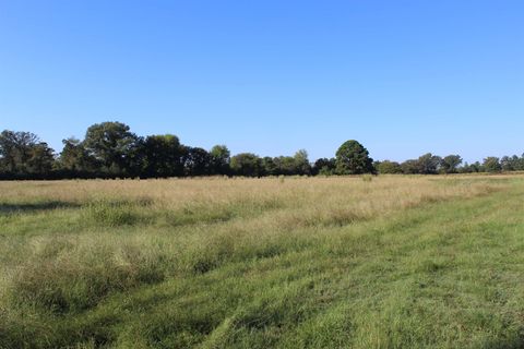 Vacant Land For Sale - 808 Joe Davis Rd<br/> Jefferson, TX 75657