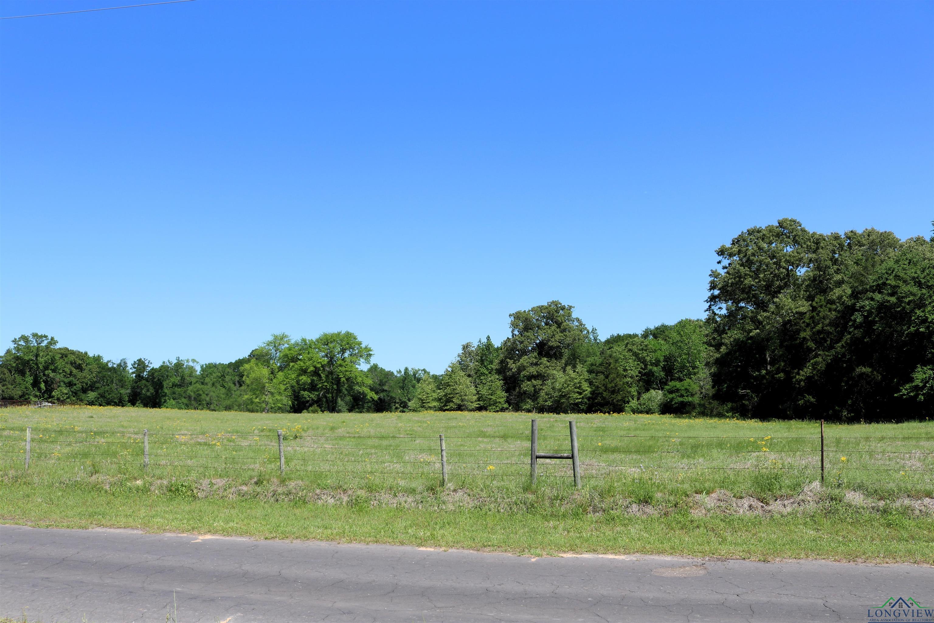 TBD Turtle Road 40.214 Acres, Pittsburg, Texas image 4