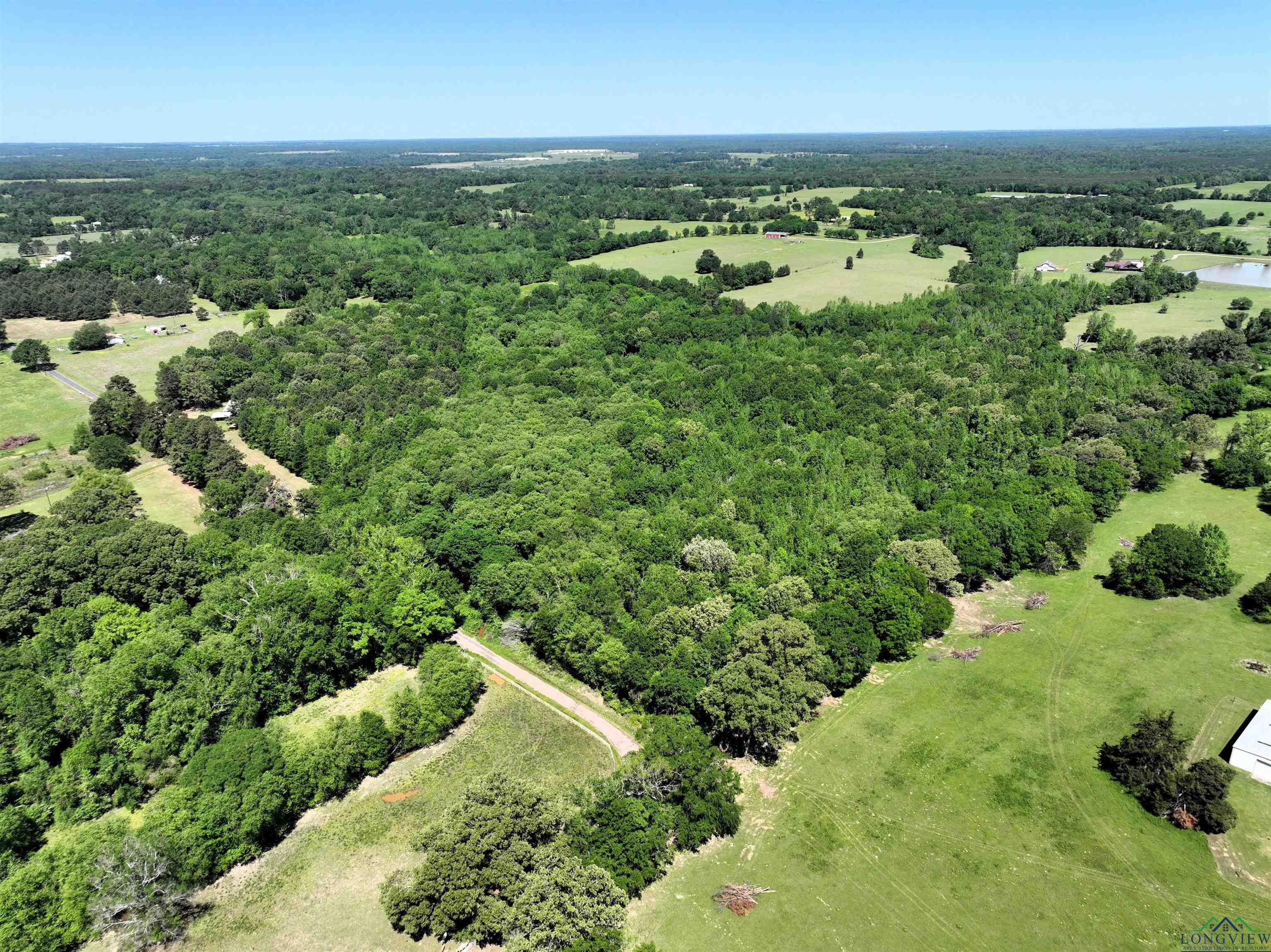TBD Turtle Road 40.214 Acres, Pittsburg, Texas image 11