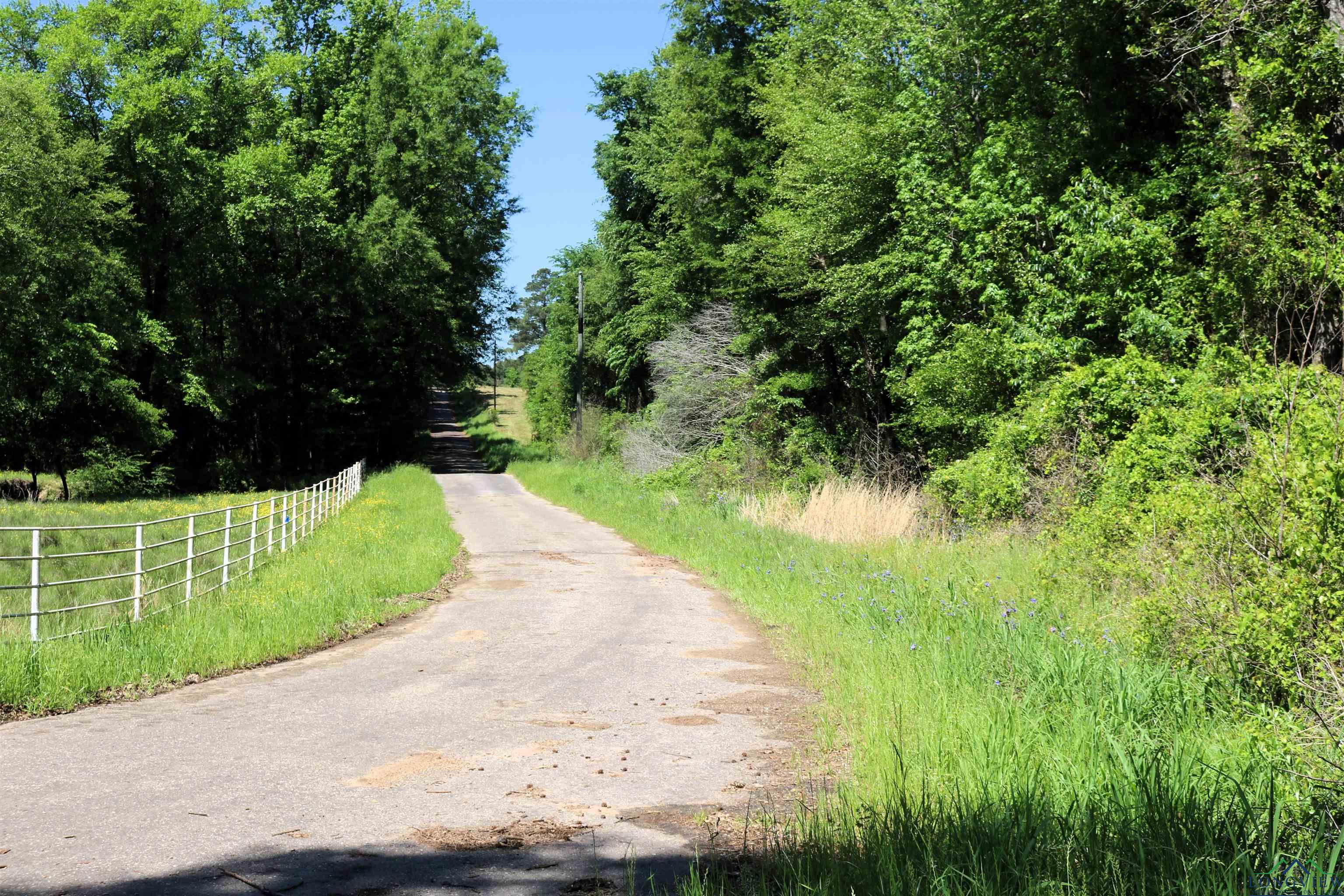 TBD Turtle Road 40.214 Acres, Pittsburg, Texas image 20