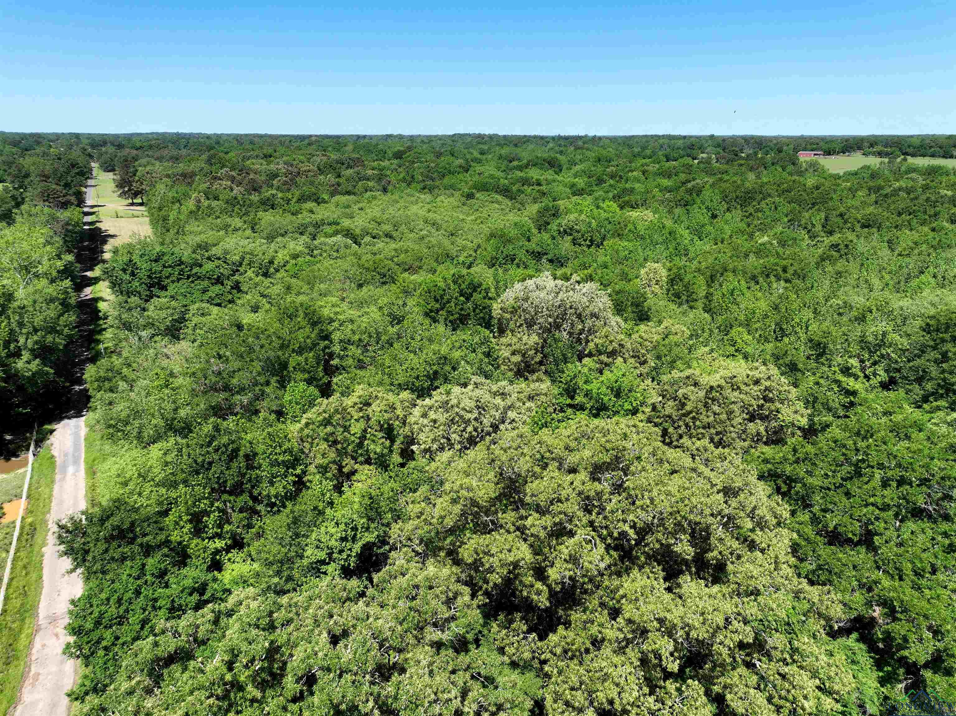 TBD Turtle Road 40.214 Acres, Pittsburg, Texas image 19
