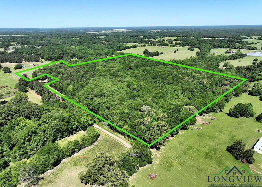 TBD Turtle Road 40.214 Acres, Pittsburg, Texas image 2