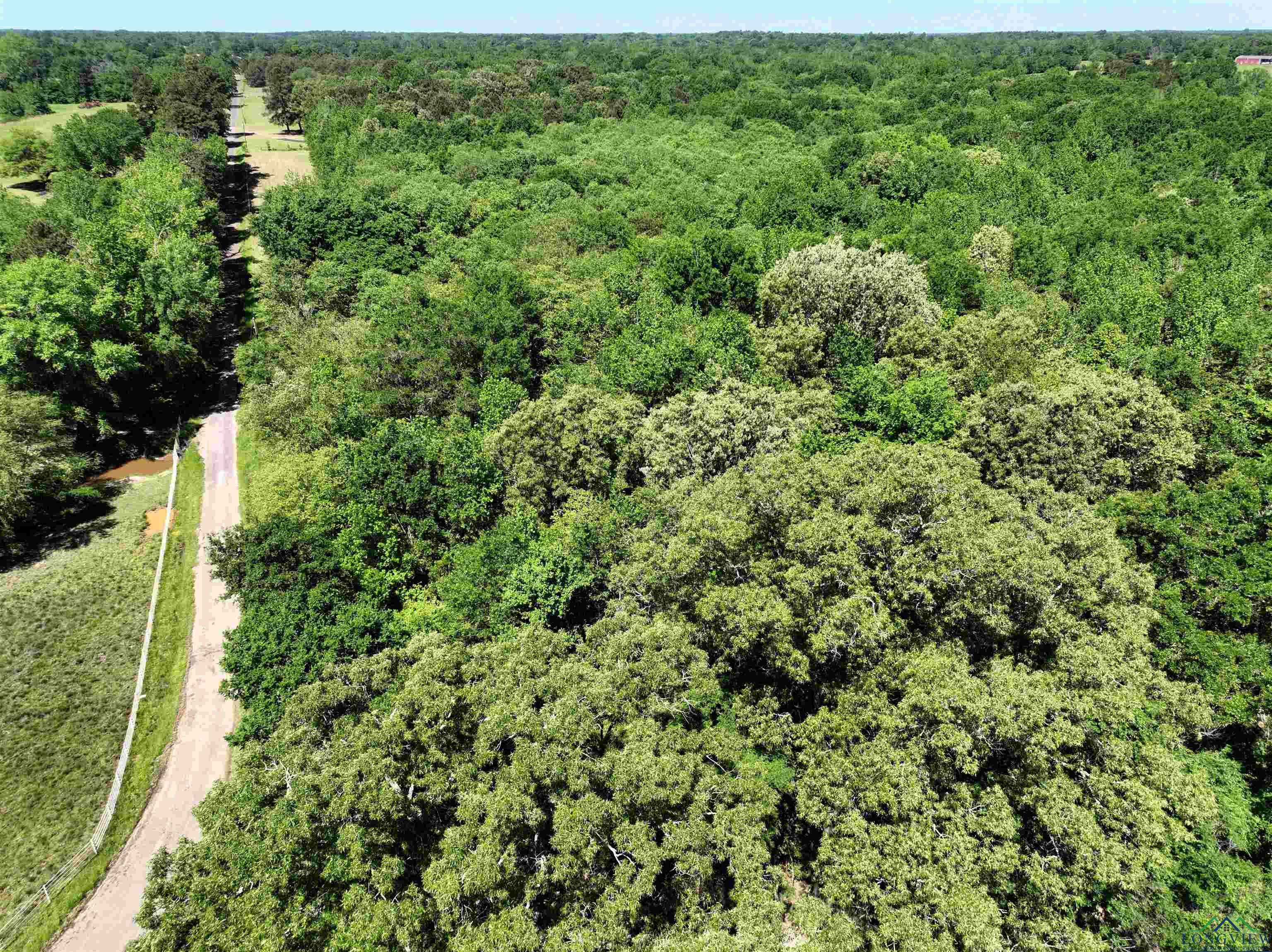 TBD Turtle Road 40.214 Acres, Pittsburg, Texas image 18