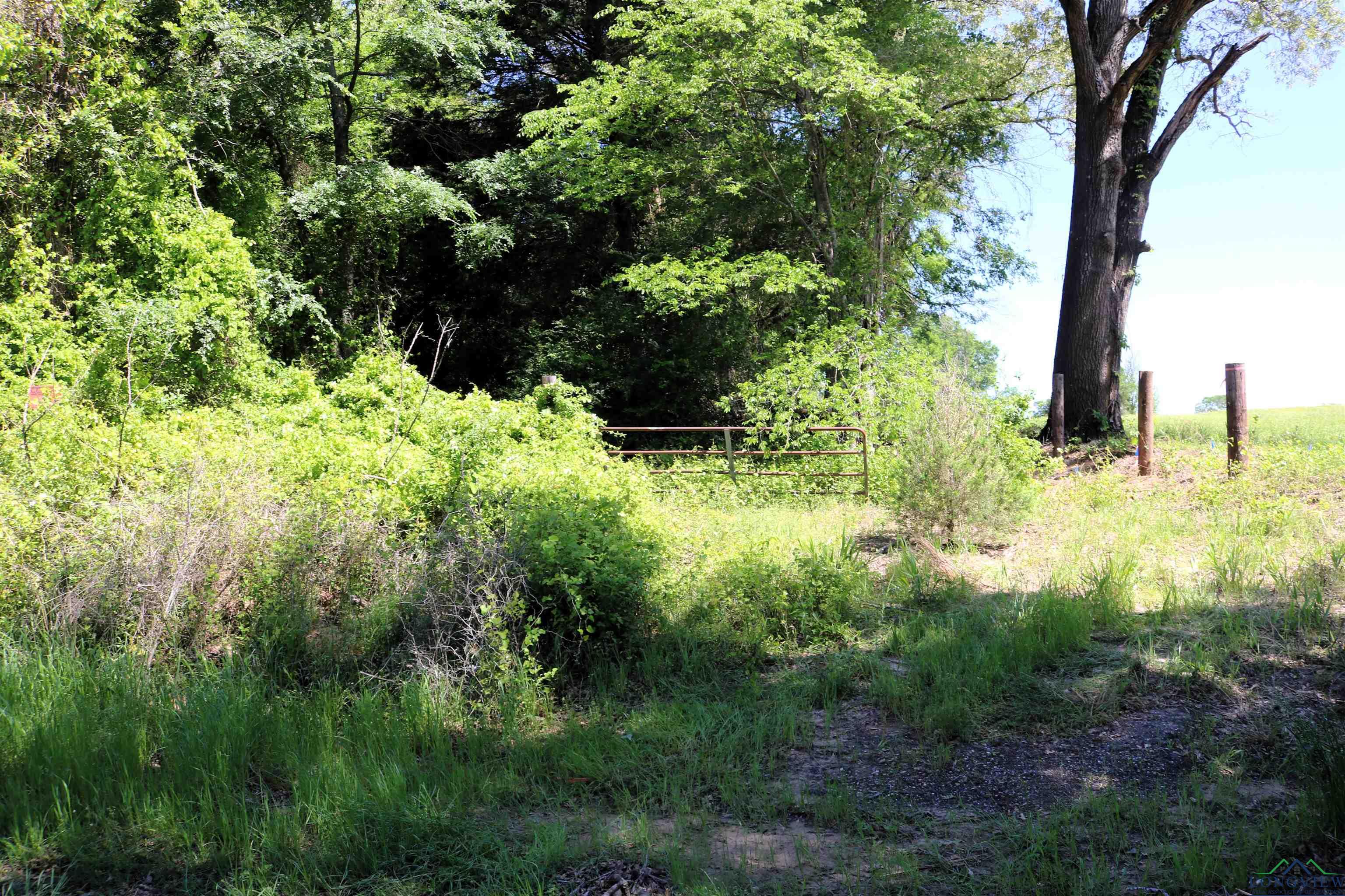 TBD Turtle Road 40.214 Acres, Pittsburg, Texas image 21
