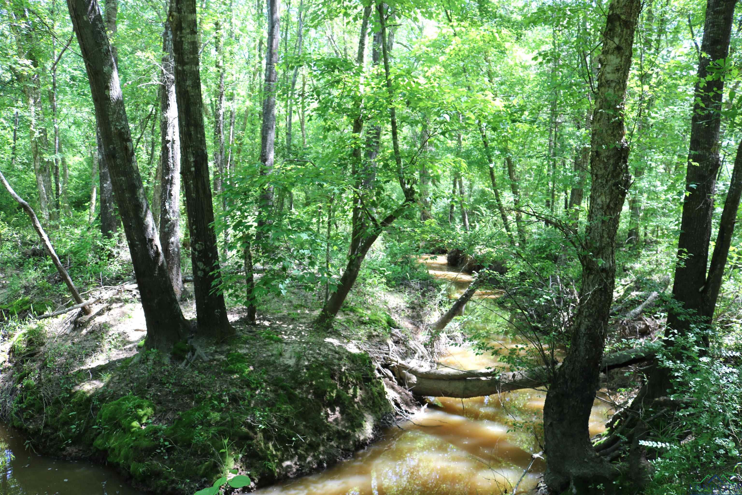 TBD Turtle Road 40.214 Acres, Pittsburg, Texas image 31
