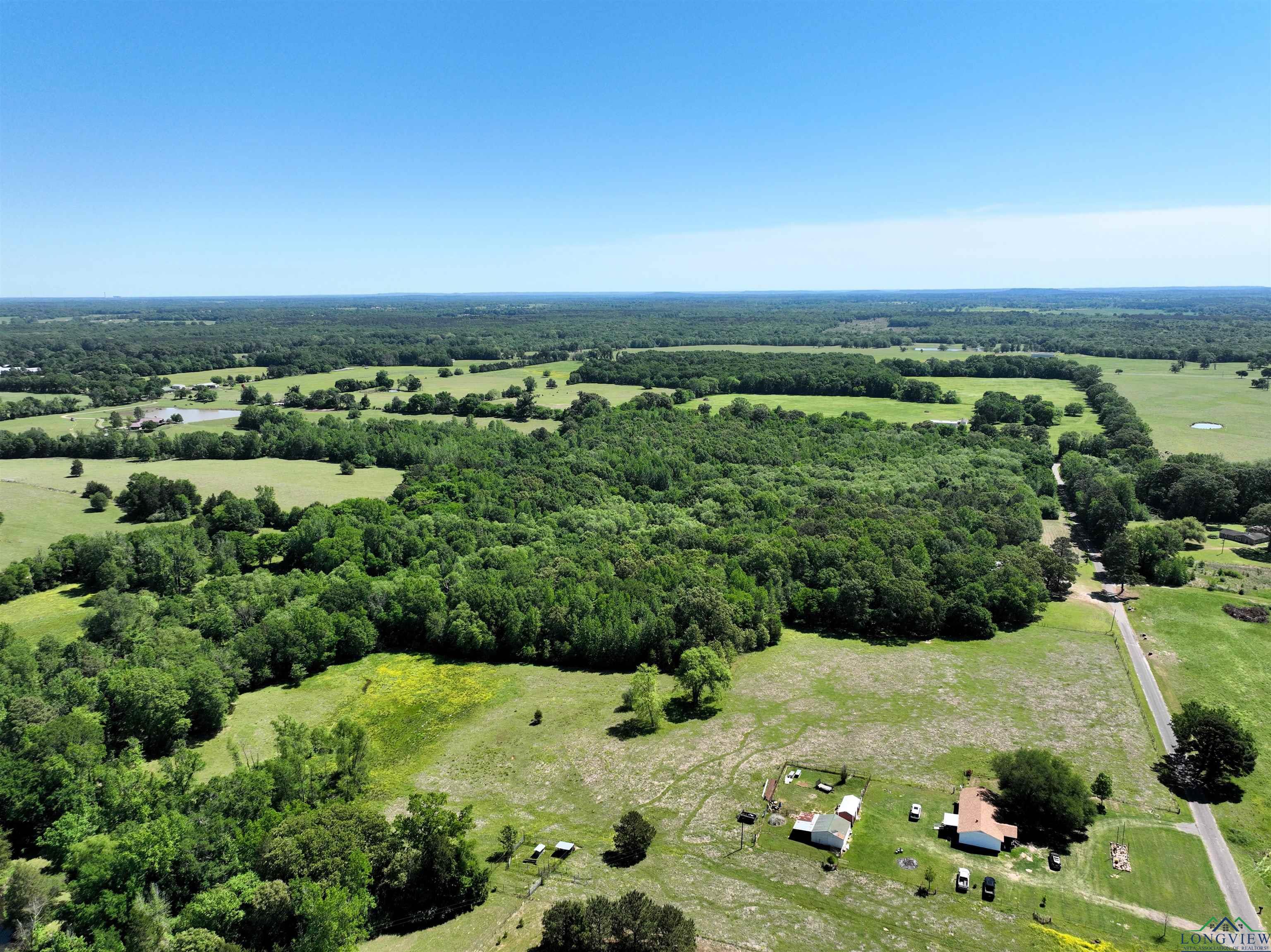TBD Turtle Road 40.214 Acres, Pittsburg, Texas image 8