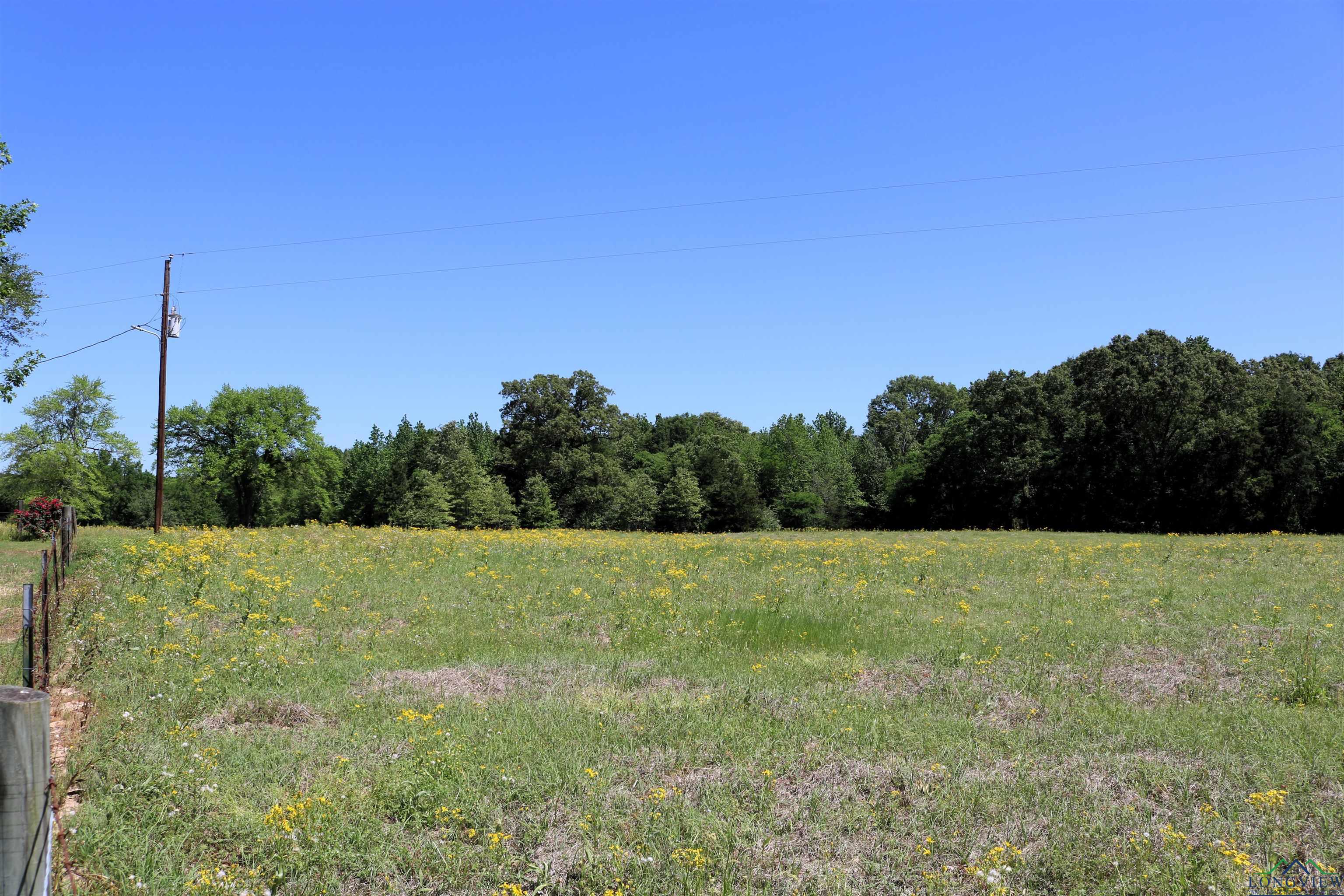 TBD Turtle Road 40.214 Acres, Pittsburg, Texas image 23