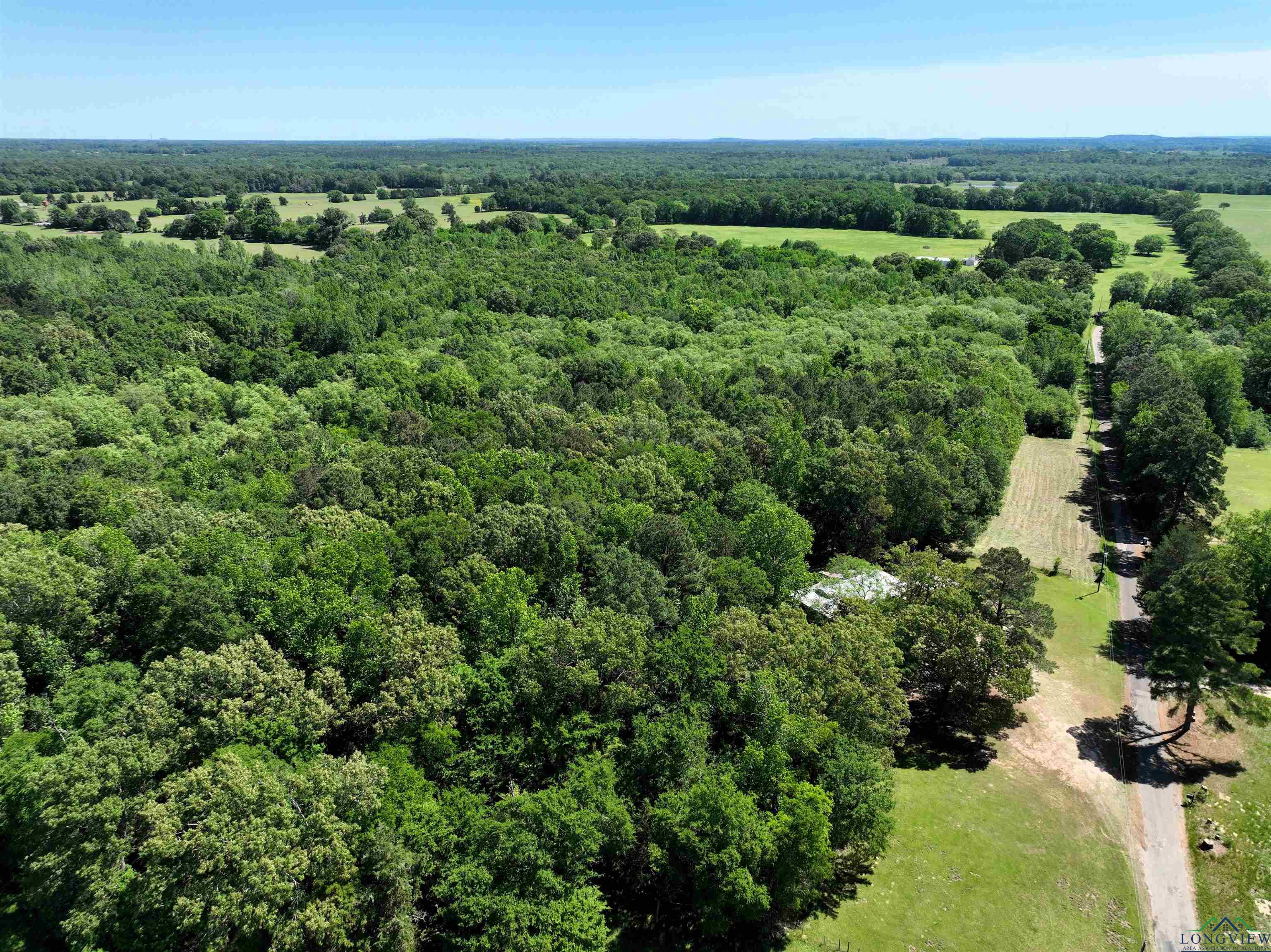 TBD Turtle Road 40.214 Acres, Pittsburg, Texas image 13