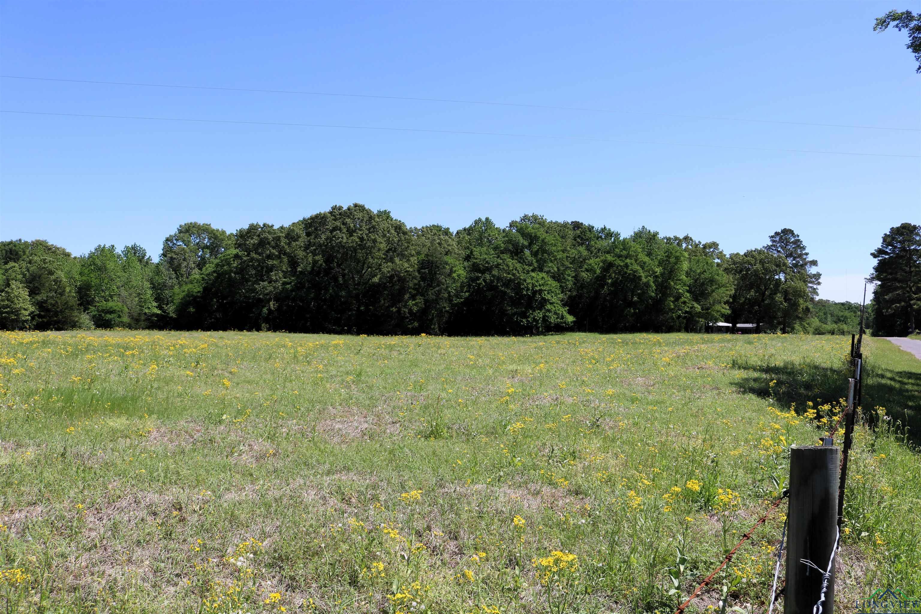 TBD Turtle Road 40.214 Acres, Pittsburg, Texas image 5