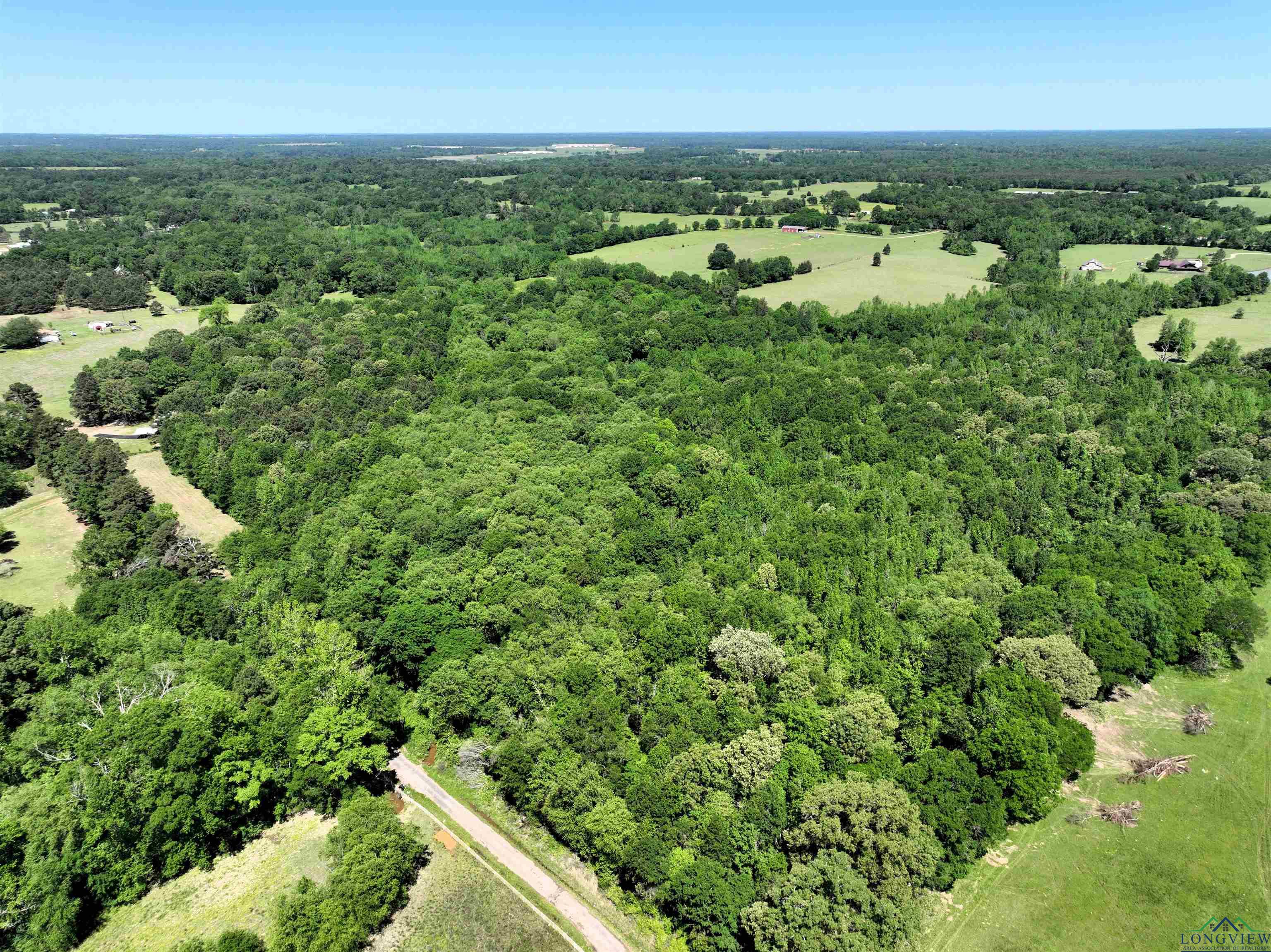 TBD Turtle Road 40.214 Acres, Pittsburg, Texas image 12