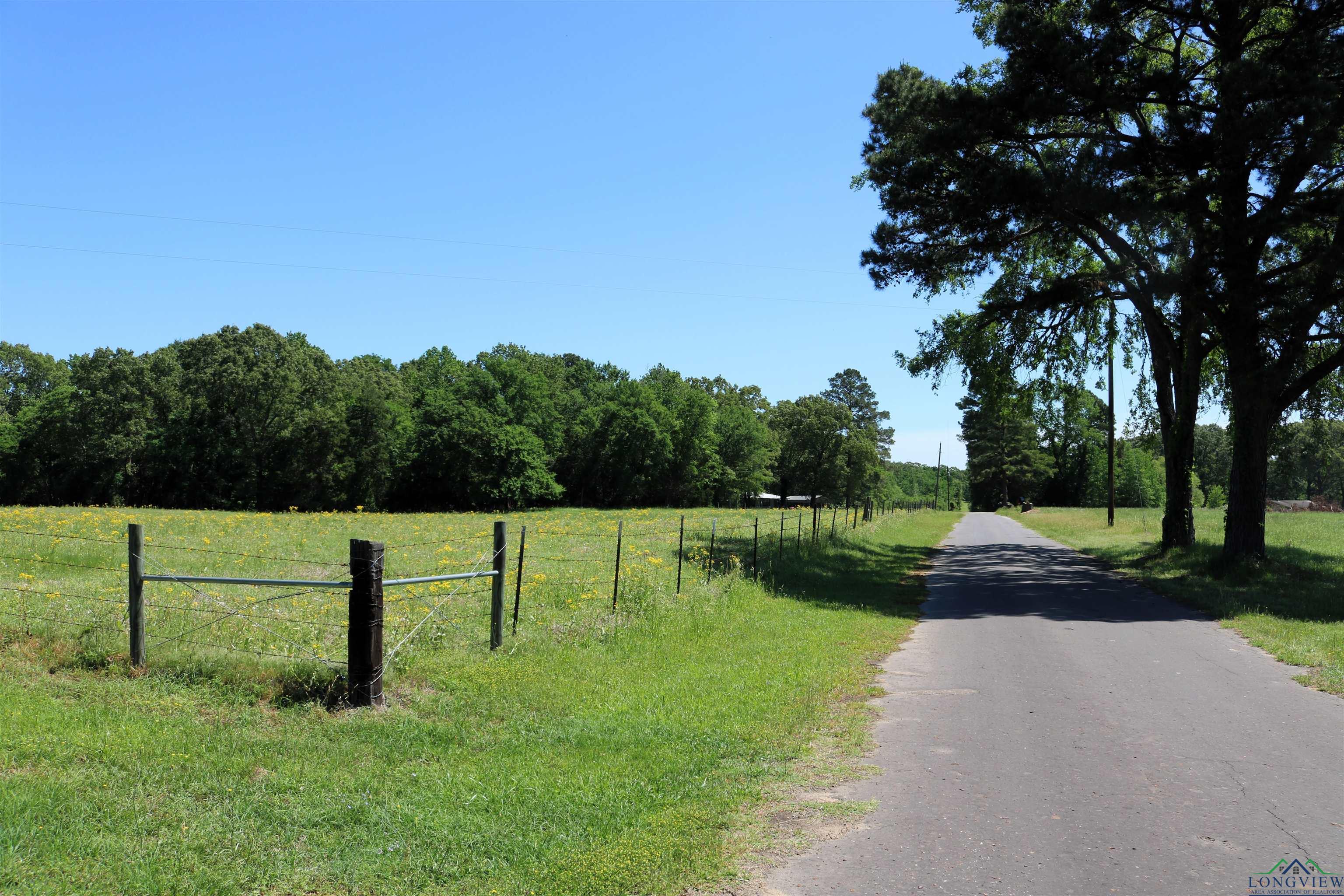 TBD Turtle Road 40.214 Acres, Pittsburg, Texas image 6
