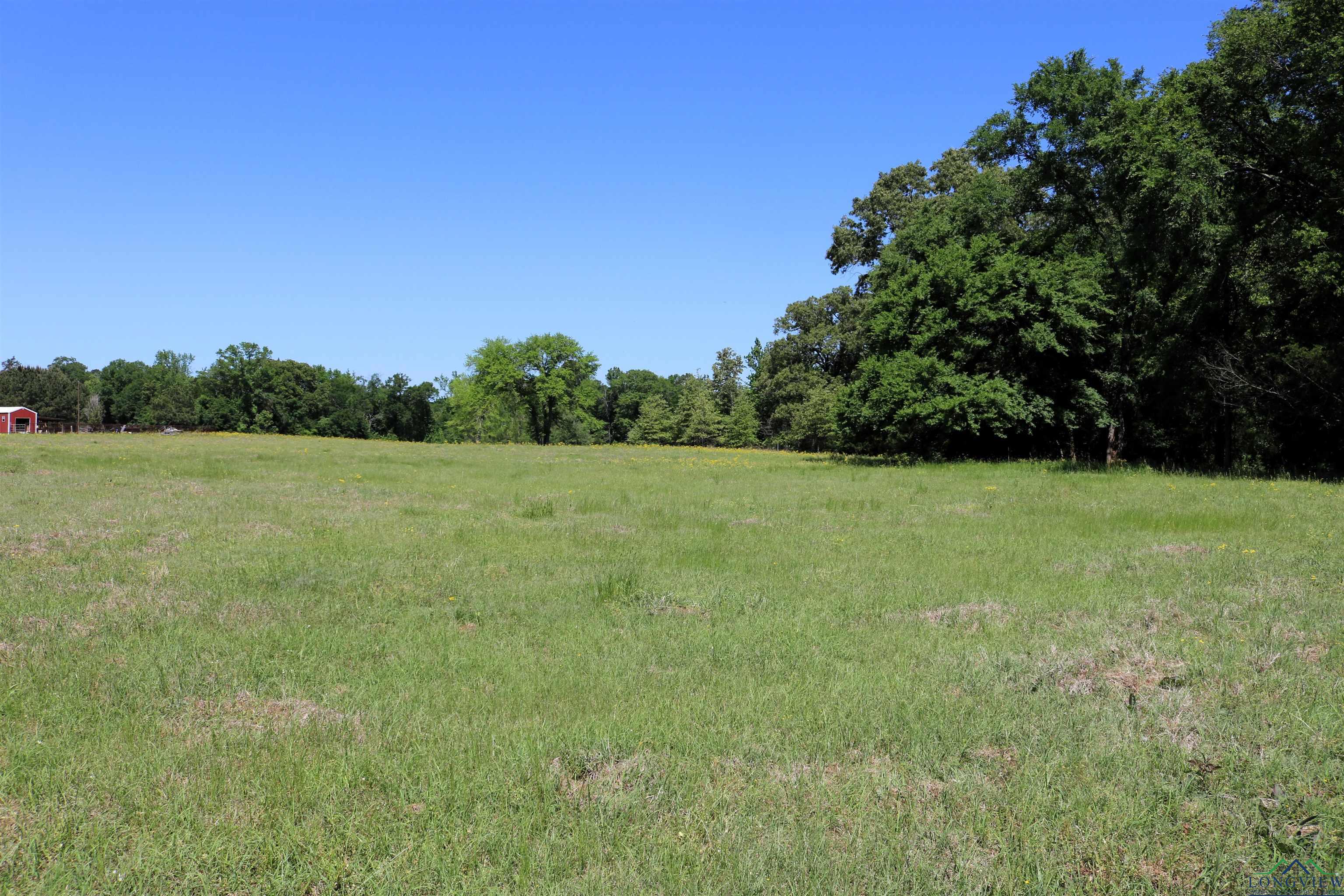 TBD Turtle Road 40.214 Acres, Pittsburg, Texas image 22