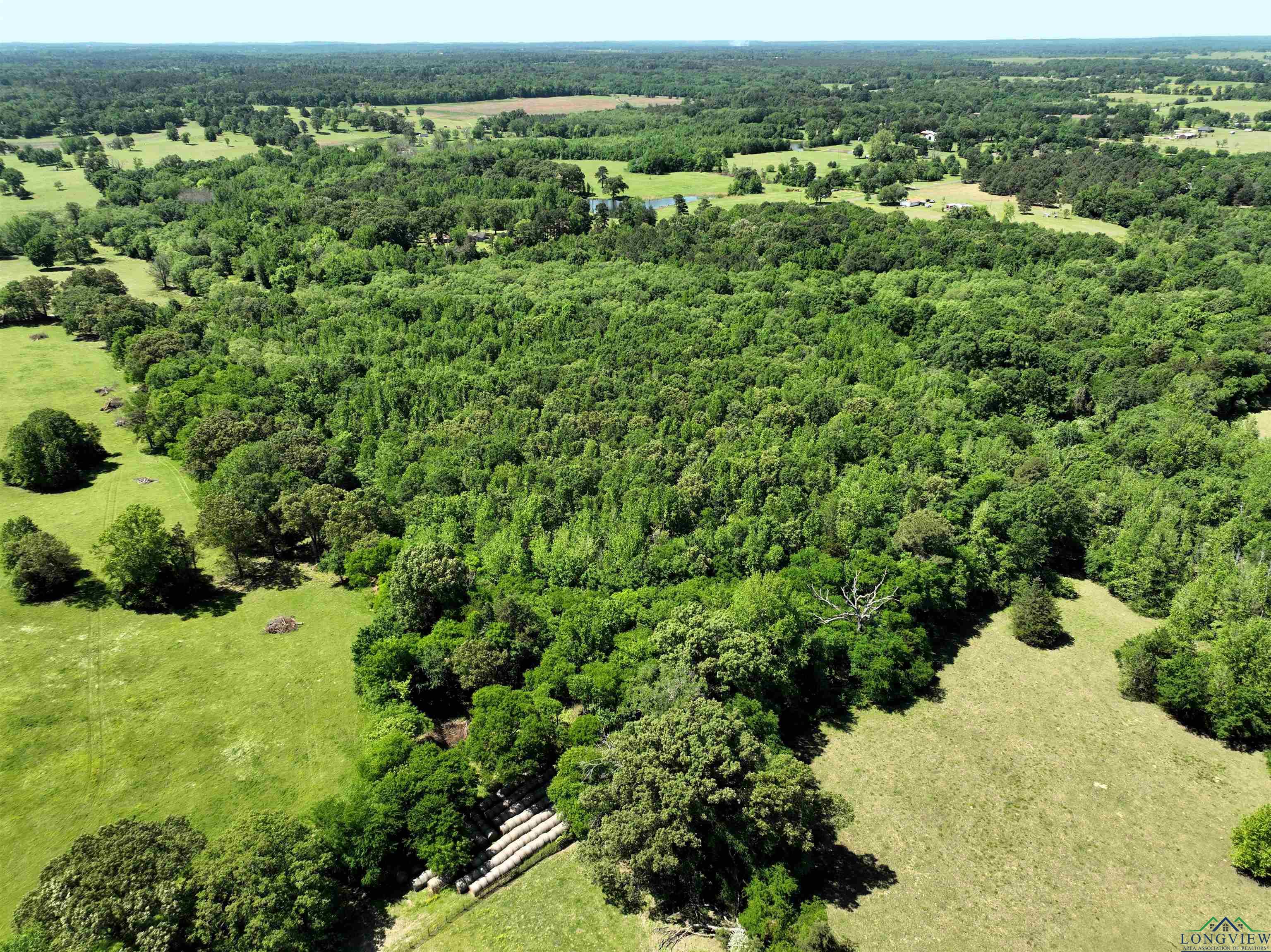 TBD Turtle Road 40.214 Acres, Pittsburg, Texas image 17