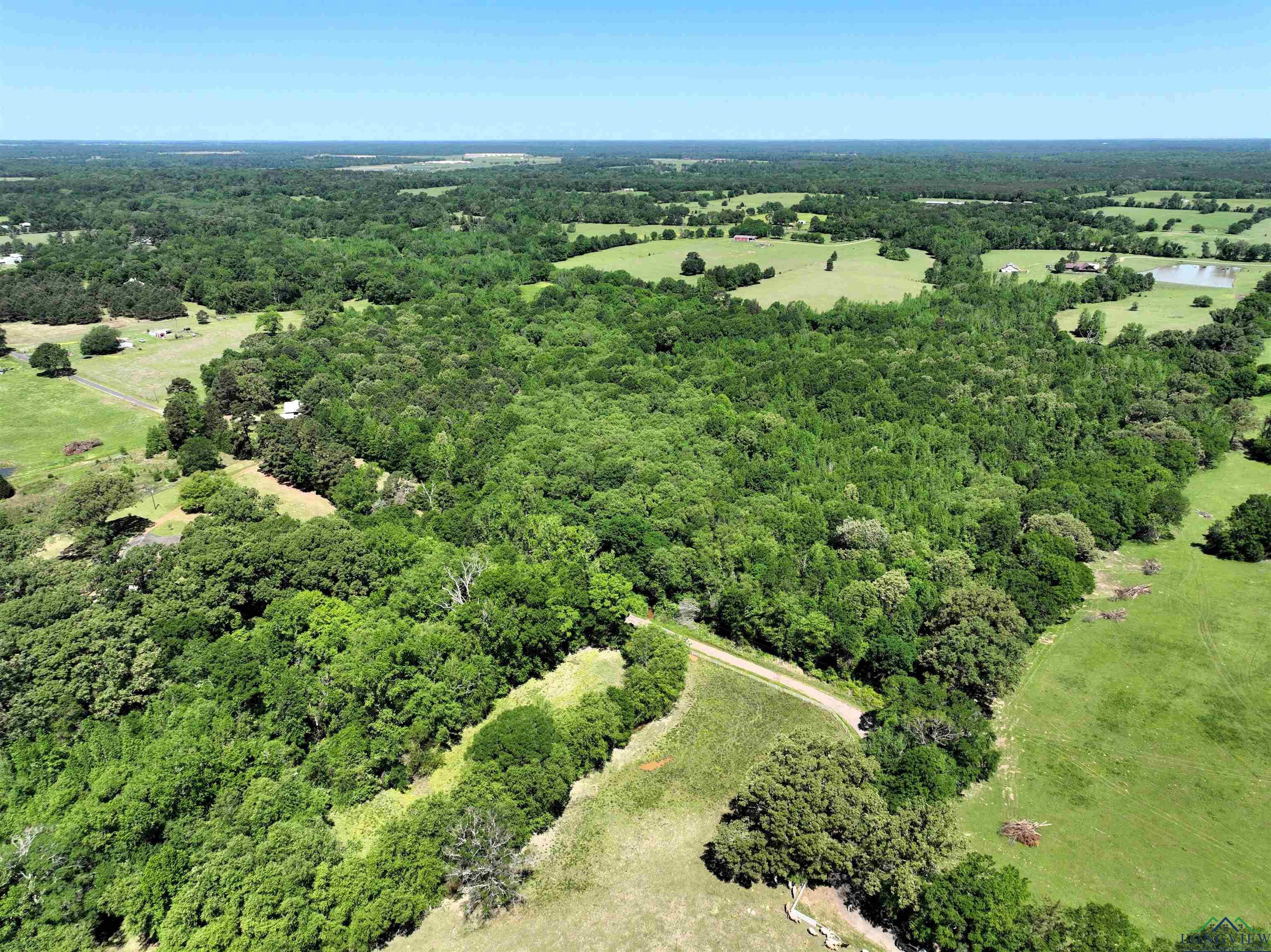 TBD Turtle Road 40.214 Acres, Pittsburg, Texas image 10