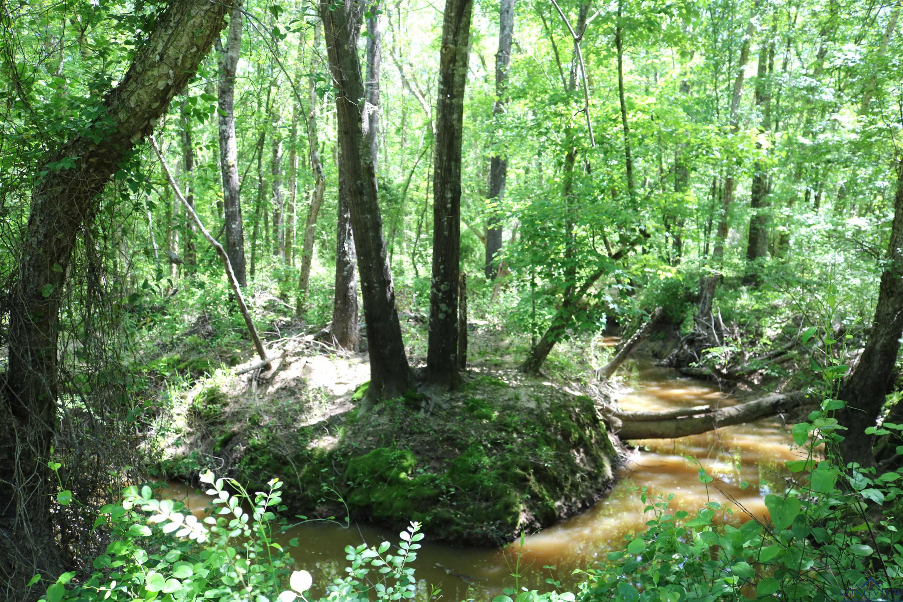 TBD Turtle Road 40.214 Acres, Pittsburg, Texas image 30