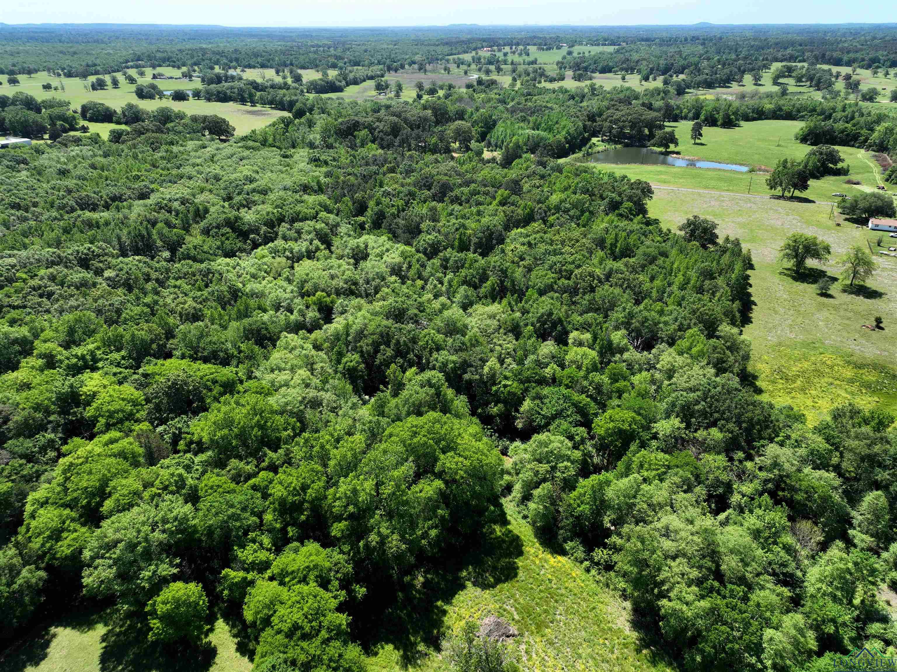 TBD Turtle Road 40.214 Acres, Pittsburg, Texas image 15