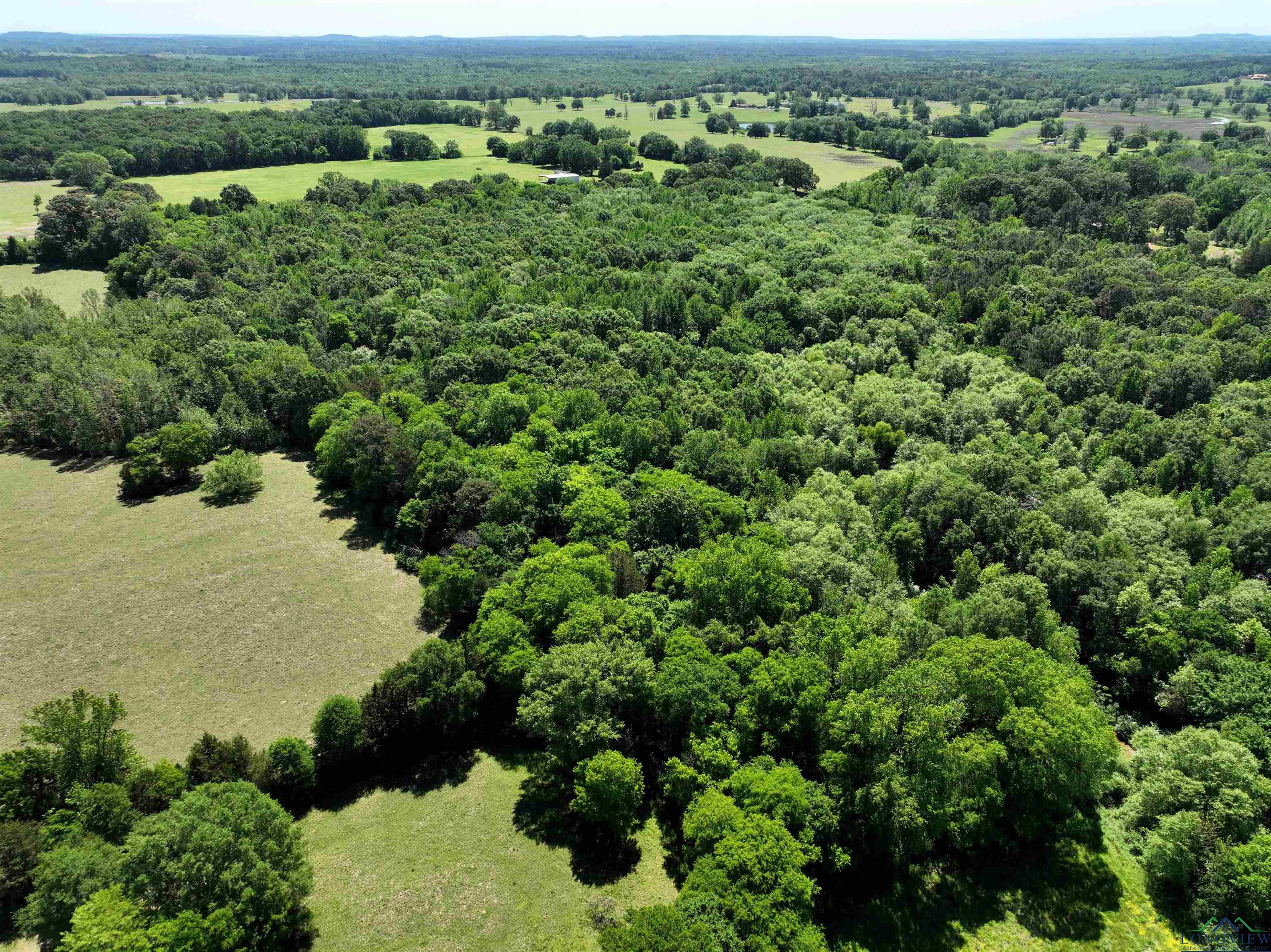 TBD Turtle Road 40.214 Acres, Pittsburg, Texas image 16