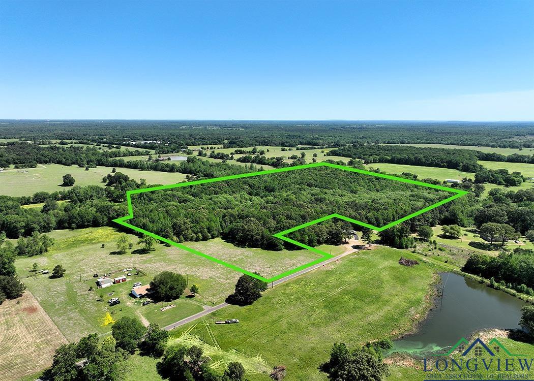 TBD Turtle Road 40.214 Acres, Pittsburg, Texas image 1