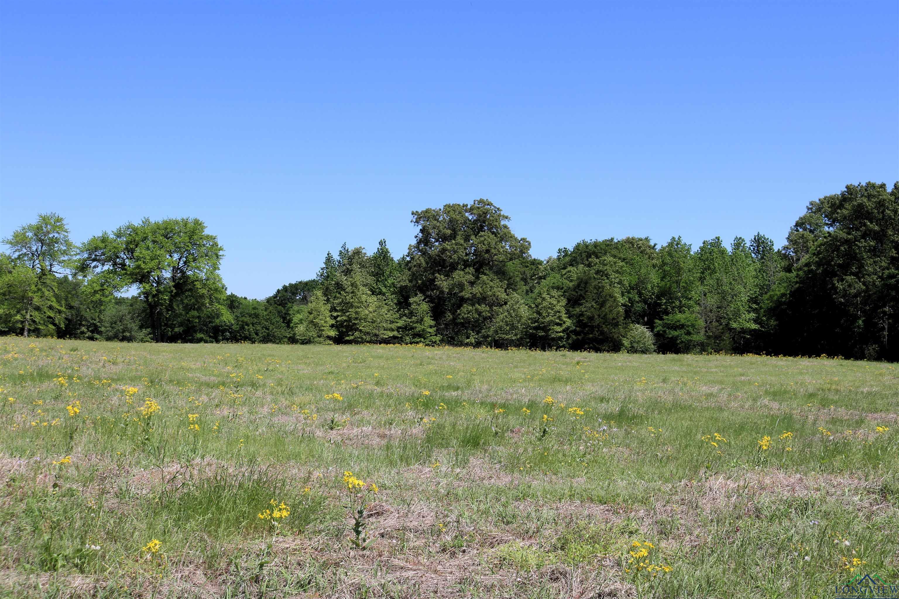 TBD Turtle Road 40.214 Acres, Pittsburg, Texas image 24