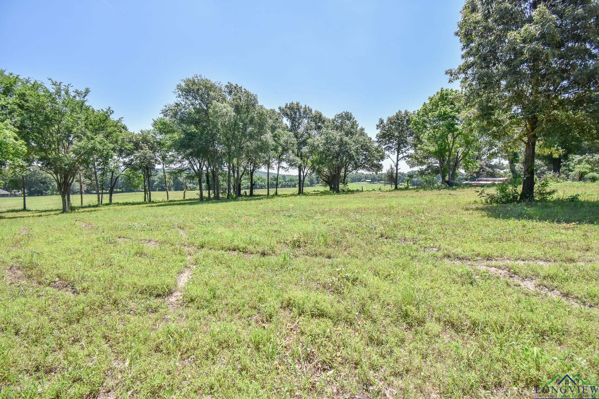 14697 Gracie Ln, Brownsboro, Texas image 13