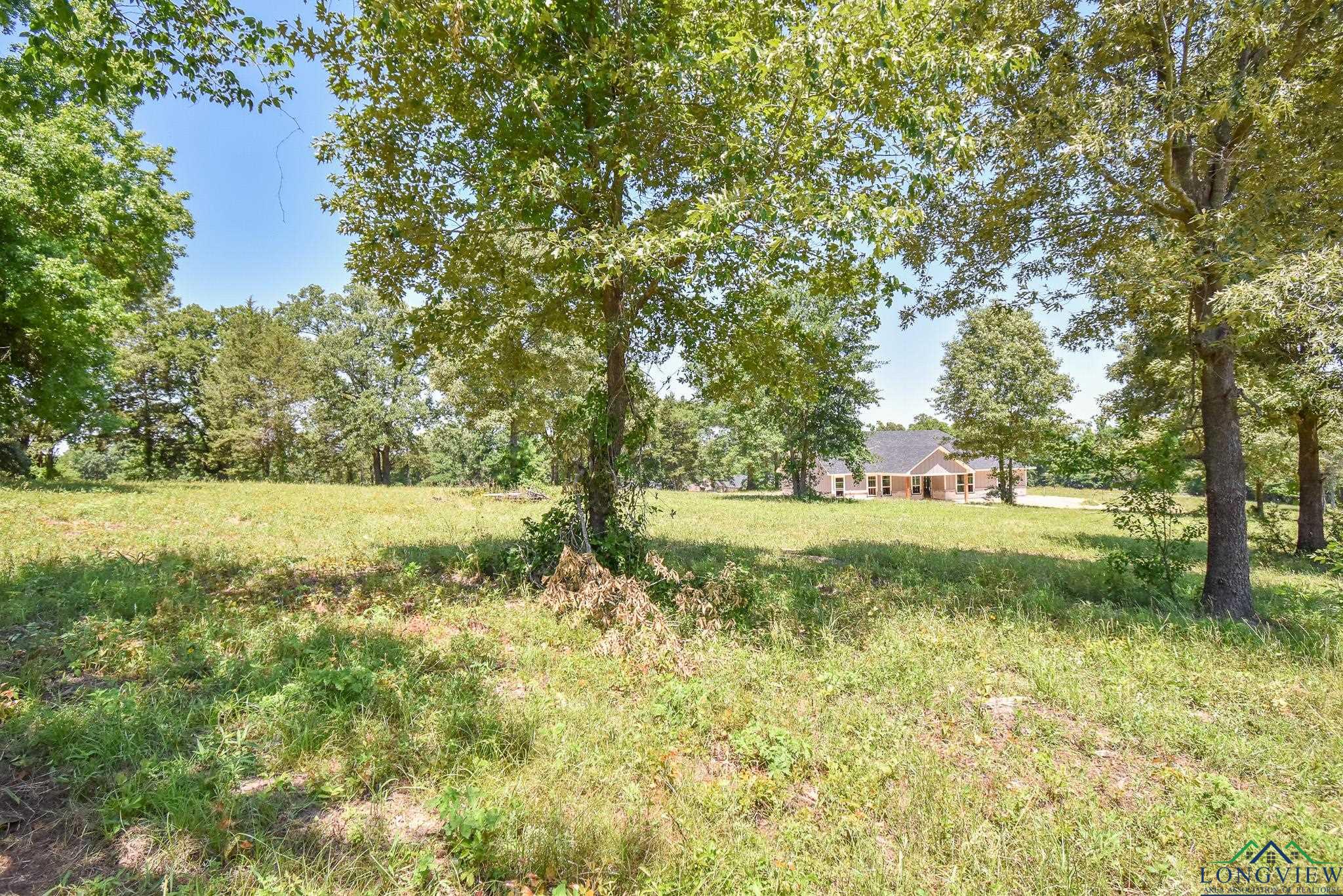 14697 Gracie Ln, Brownsboro, Texas image 8