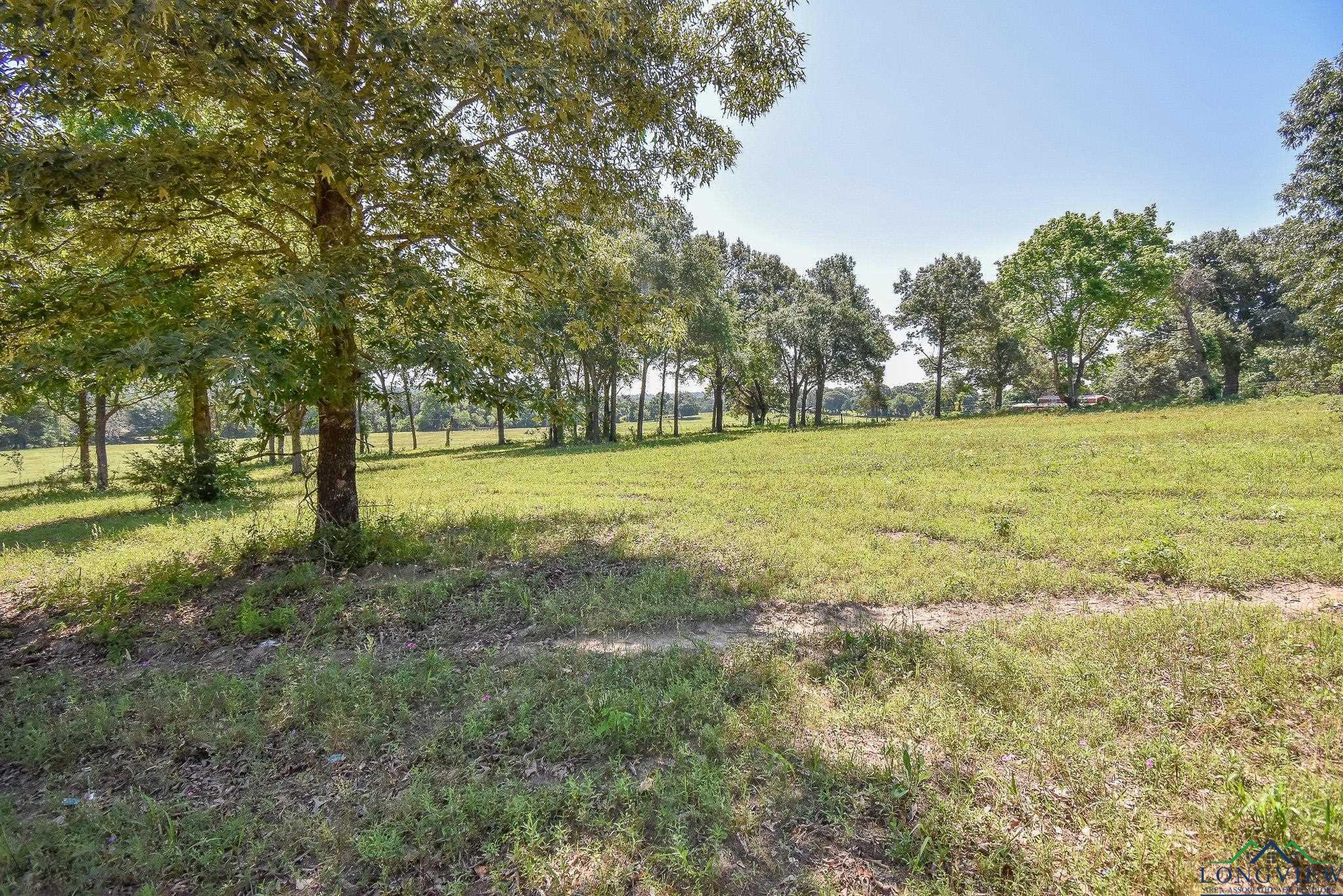 14697 Gracie Ln, Brownsboro, Texas image 12