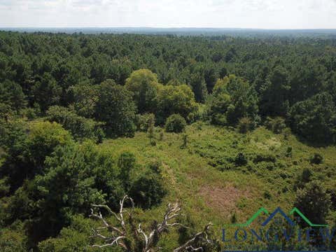 Vacant Land For Sale - TBD County Road 2218<br/> Cherokee County, Rusk, TX 75785