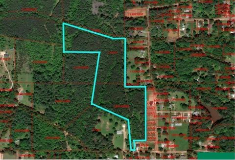 Vacant Land For Sale - TBD Ellis Street<br/> Cherokee County, Rusk, TX 75785