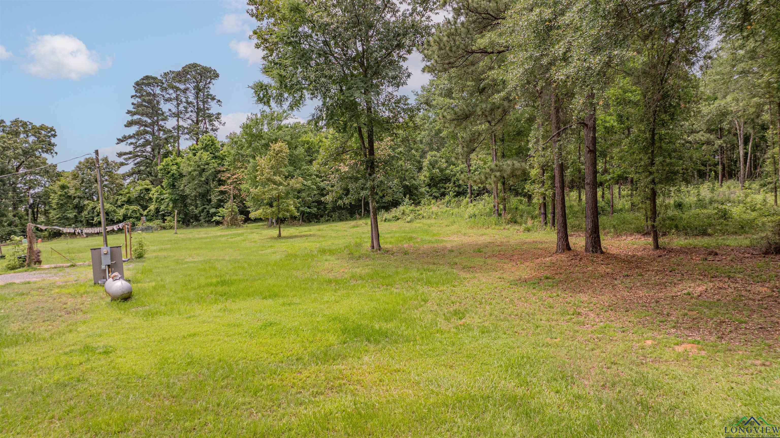 1999 Grainger Drive, Lone Star, Texas image 6