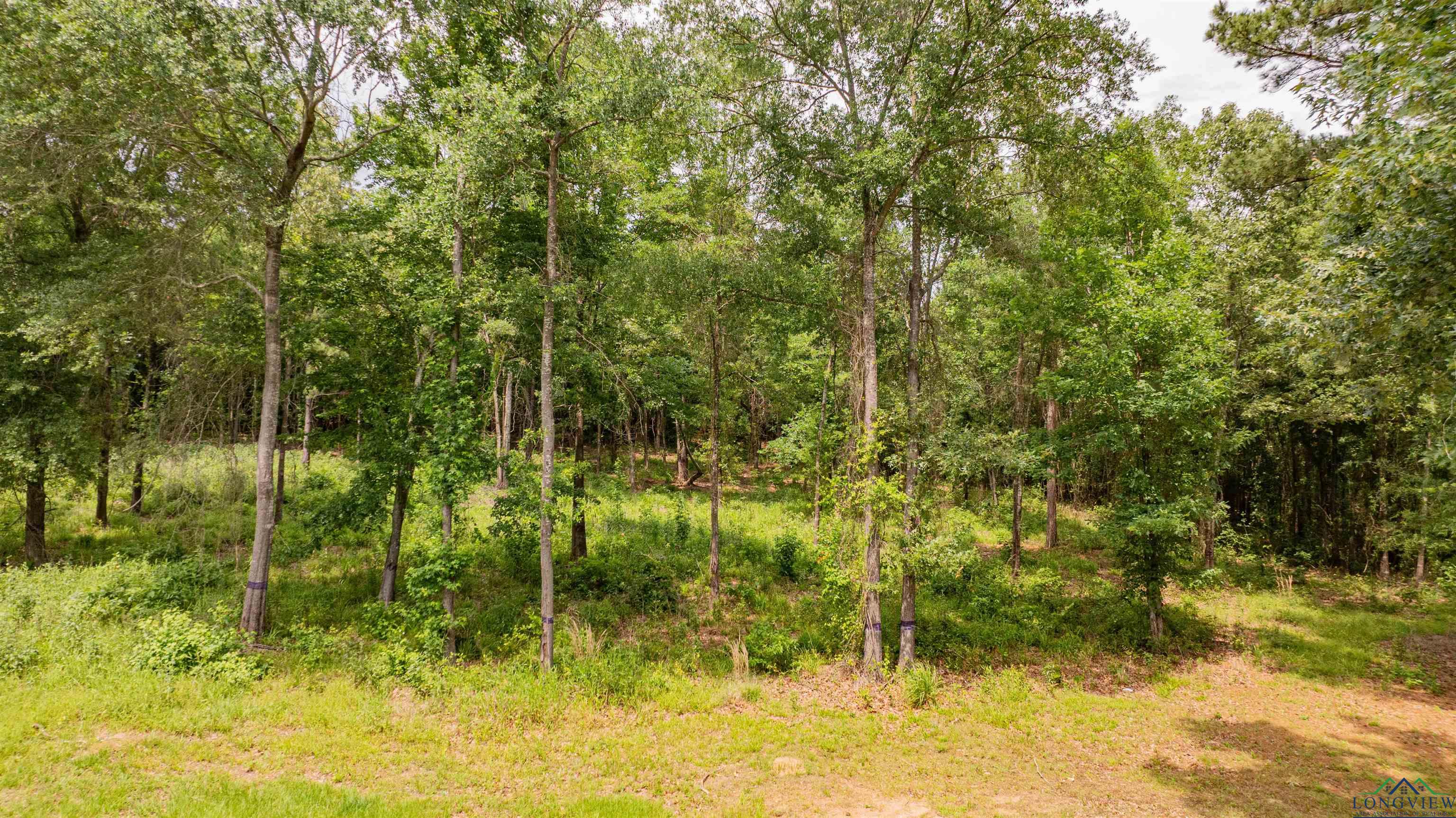 1999 Grainger Drive, Lone Star, Texas image 8