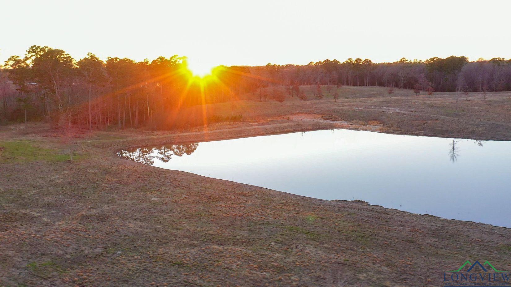 TBD Private Road 6734, Avinger, Texas image 18