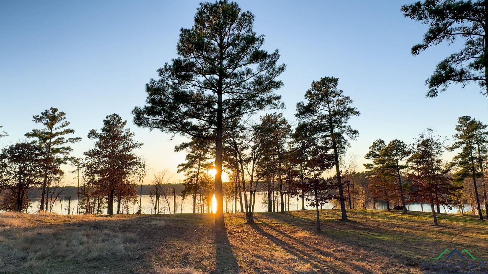 TBD Private Road 6734, Avinger, Texas image 33