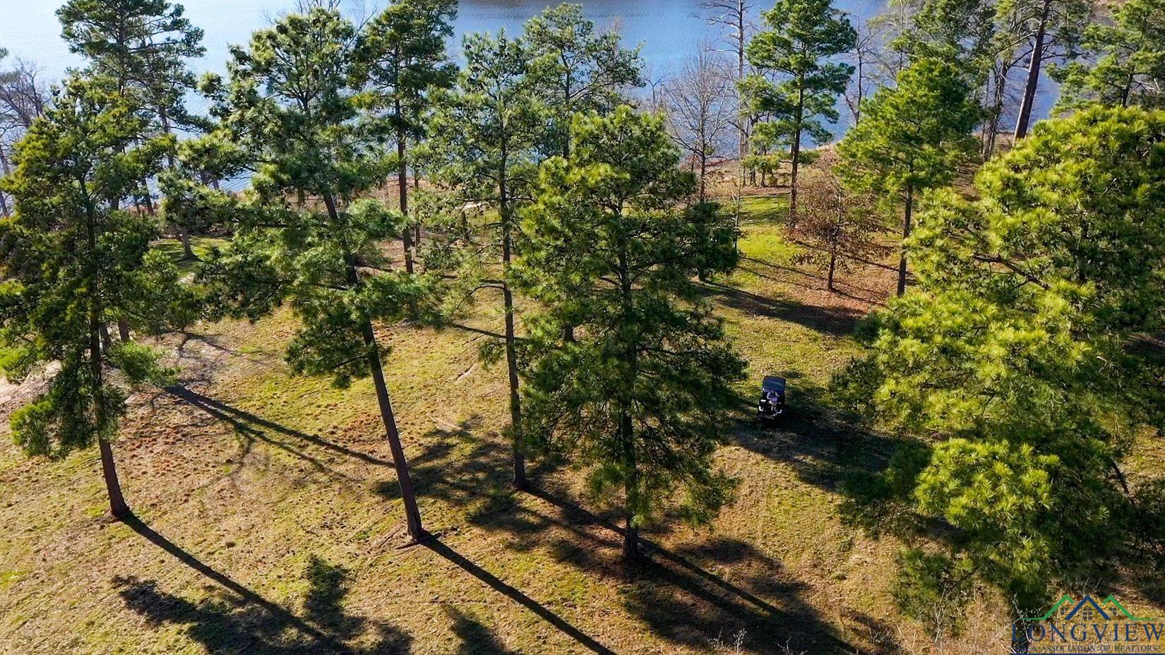 TBD Private Road 6734, Avinger, Texas image 8