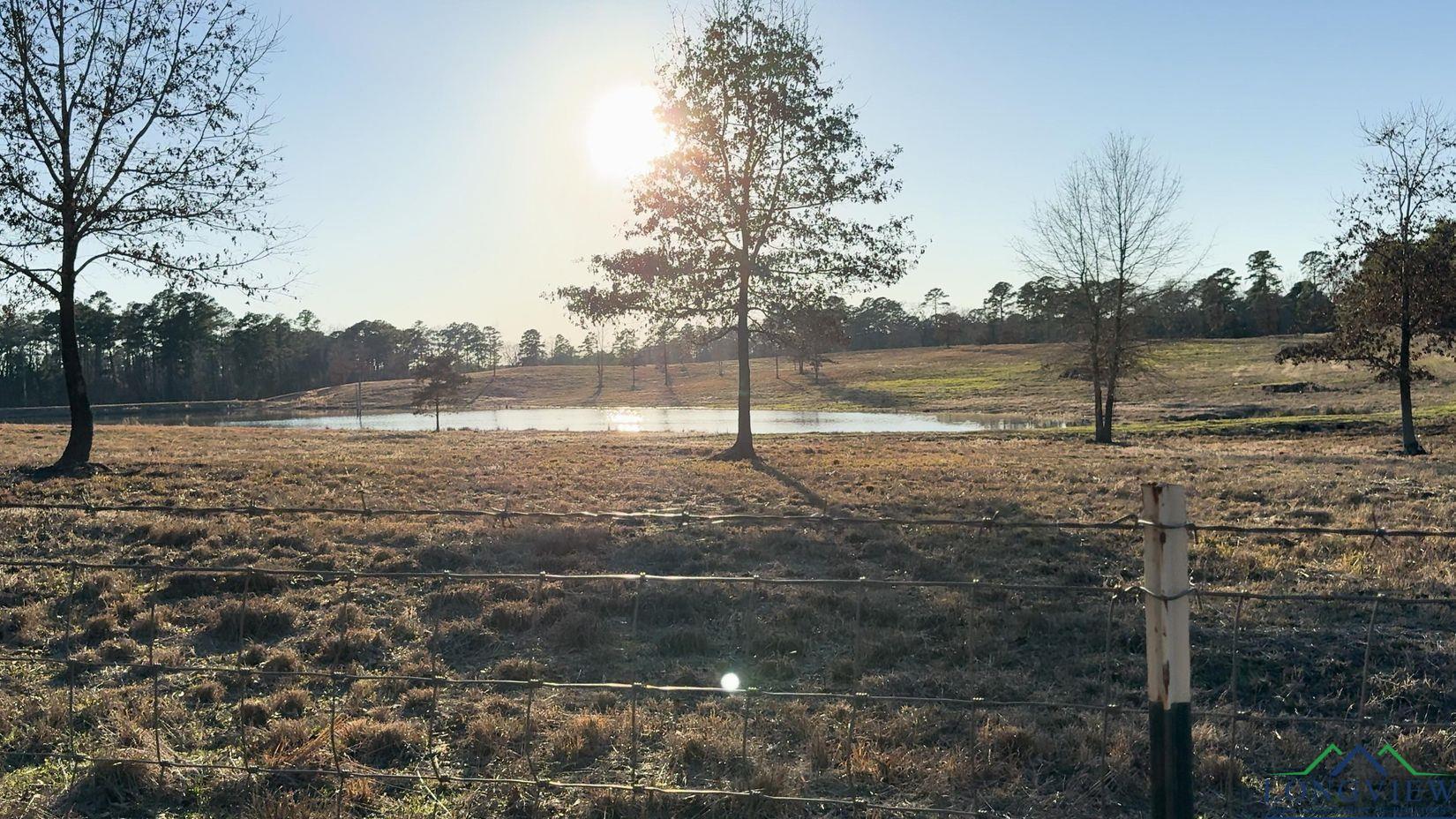 TBD Private Road 6734, Avinger, Texas image 17