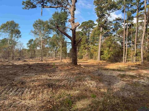 Vacant Land For Sale - LOT 4 TBD Cr 4108<br/> Rusk County, Henderson, TX 75654