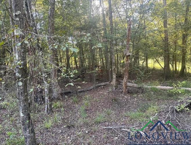 22522 Cr 244, Overton, Texas image 6