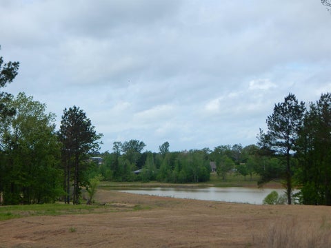 Vacant Land For Sale - TBD Cardinal Court<br/> Diana, TX 75640