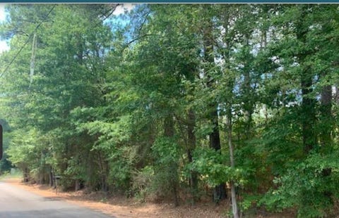 Vacant Land For Sale - TBD Blackstone Rd<br/> Longview, TX 75604