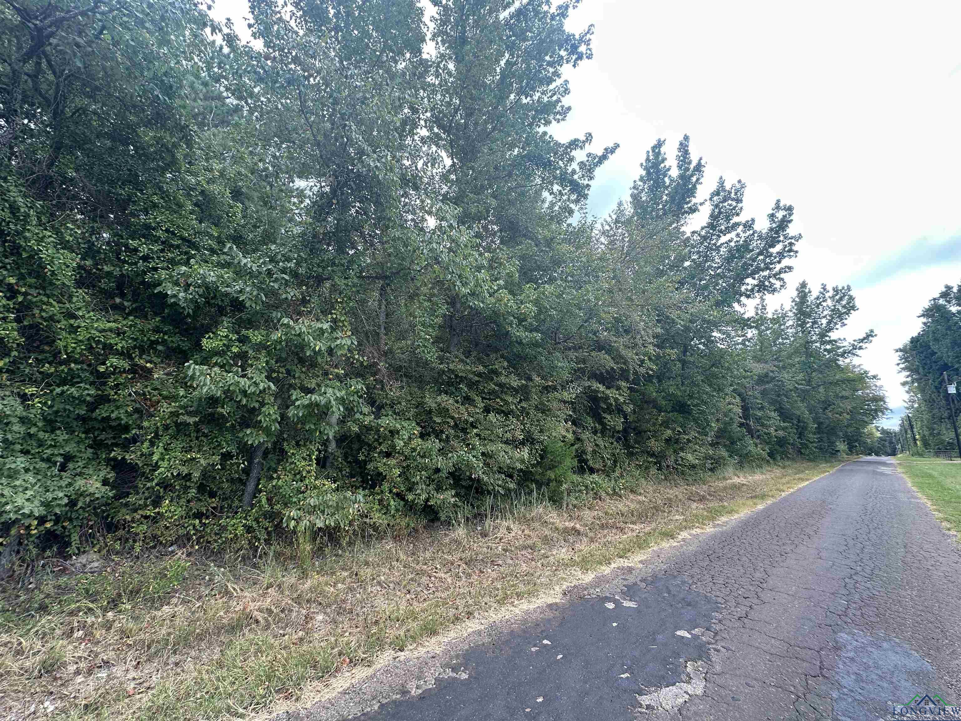 Tract 2 Woodchuck Road, Winnsboro, Texas image 3