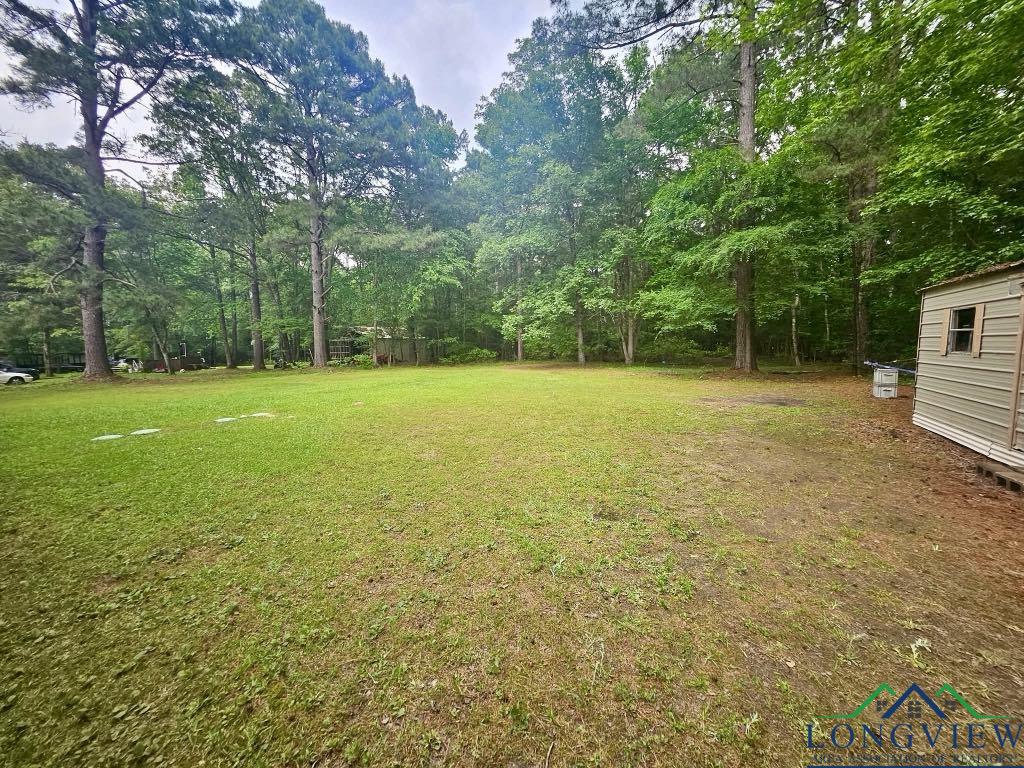 338 Peppermint Ln, Waskom, Texas image 5