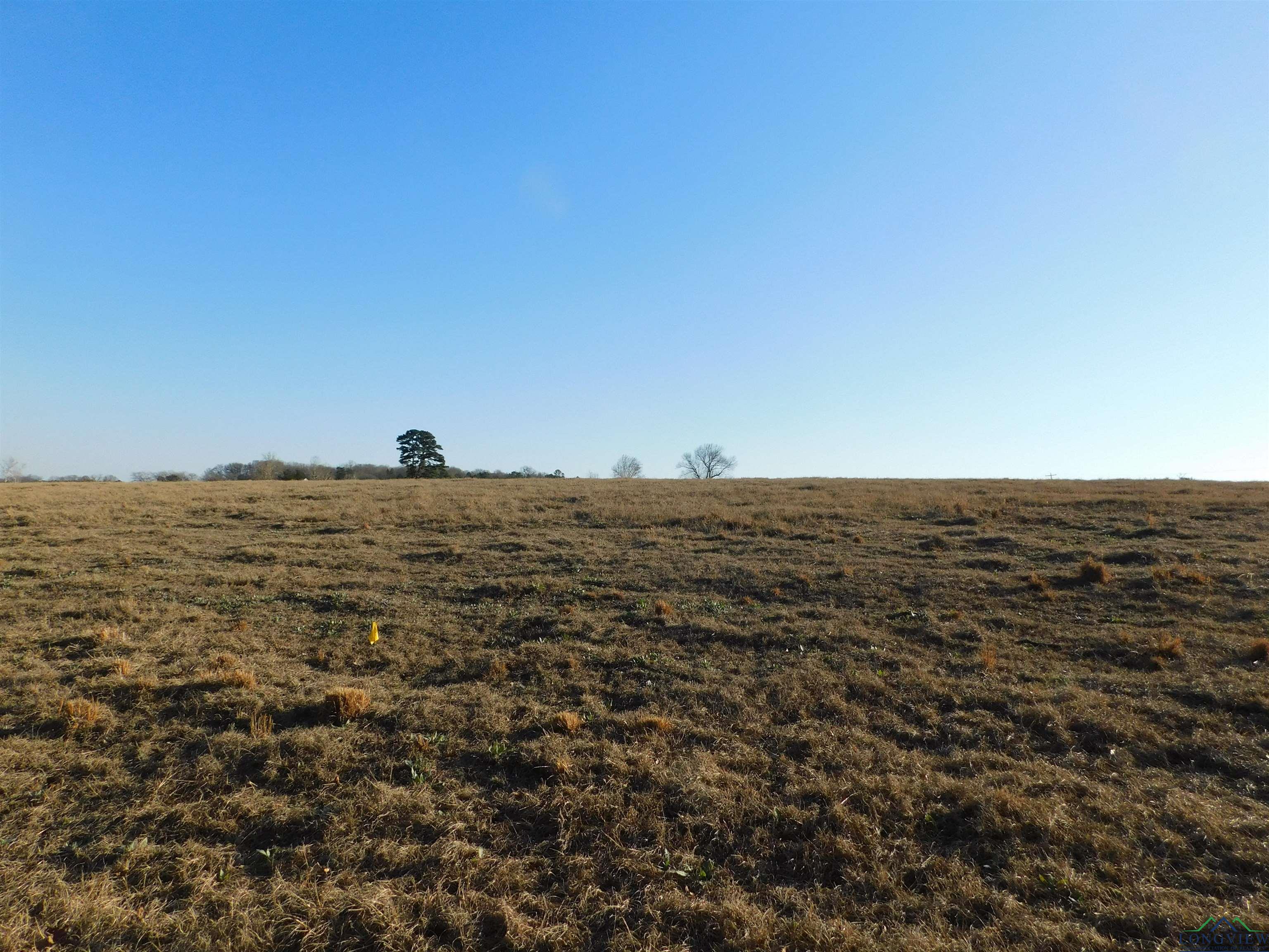 TBD Cr 3211, Pittsburg, Texas image 2