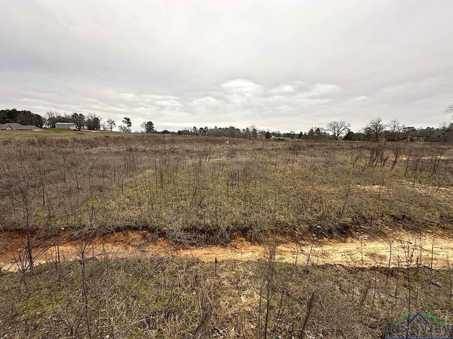 Lot 5 W White Oak Creek Ranch (pr 3398) Drive, Big Sandy, New Mexico image 6