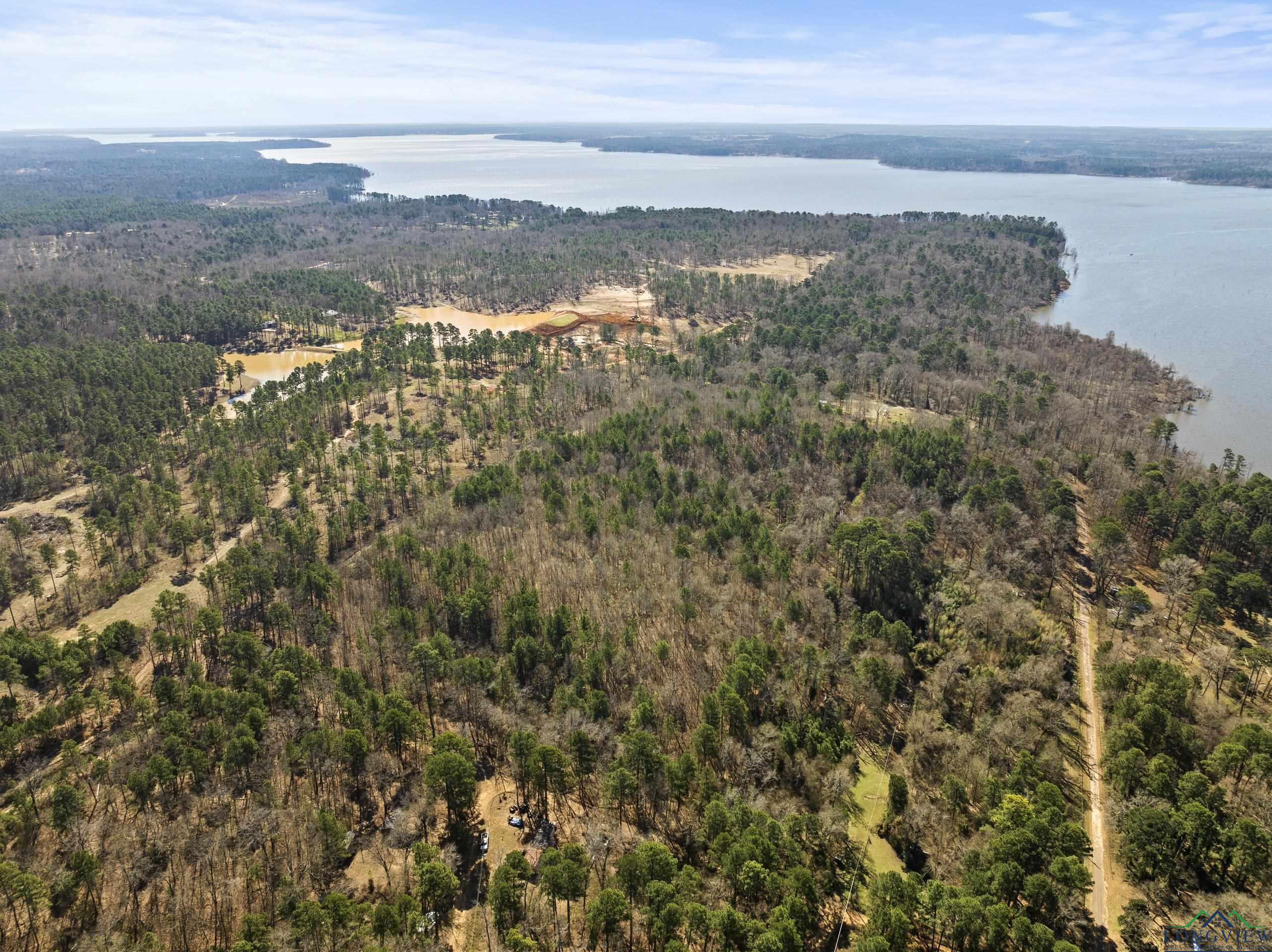 TBD Merle Dr Lot #201, Lone Star, Texas image 4
