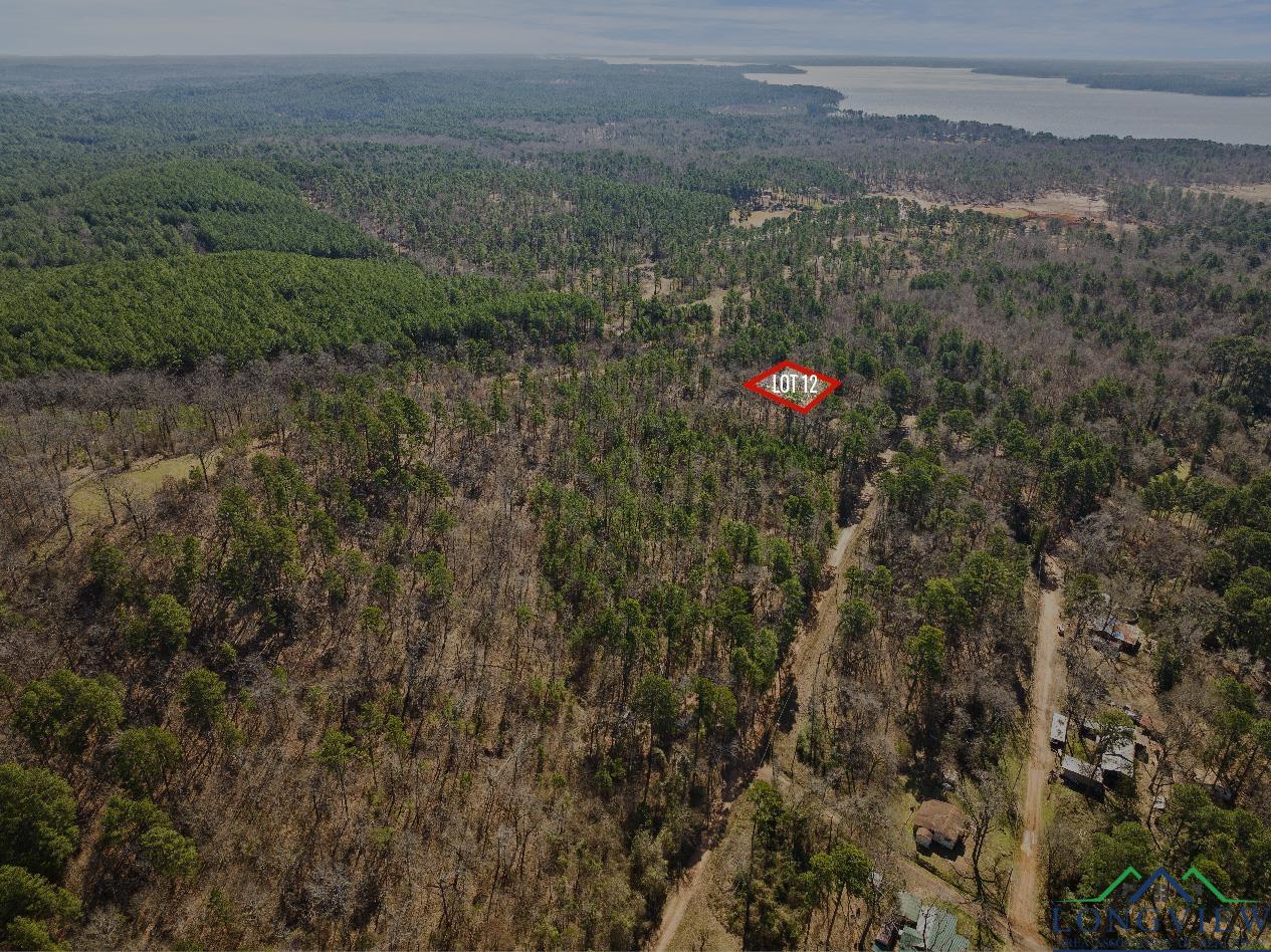 TBD Merle Dr Lot #201, Lone Star, Texas image 1
