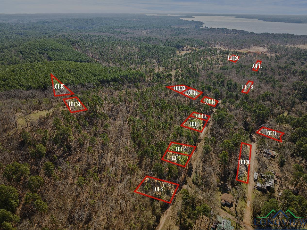 TBD Merle Dr Lot #201, Lone Star, Texas image 2