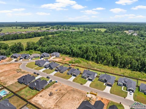 A home in Hallsville