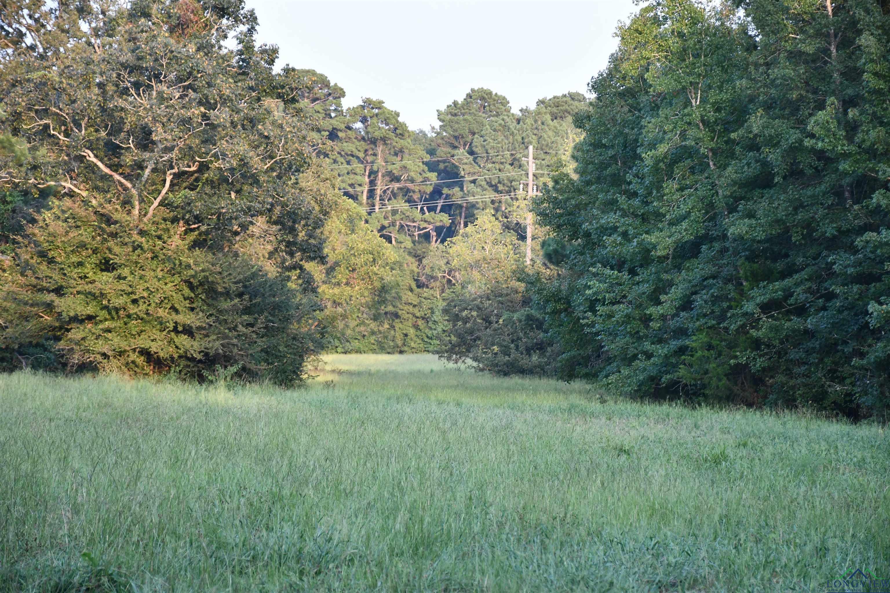 N Fm 1002 E, Winnsboro, Texas image 16